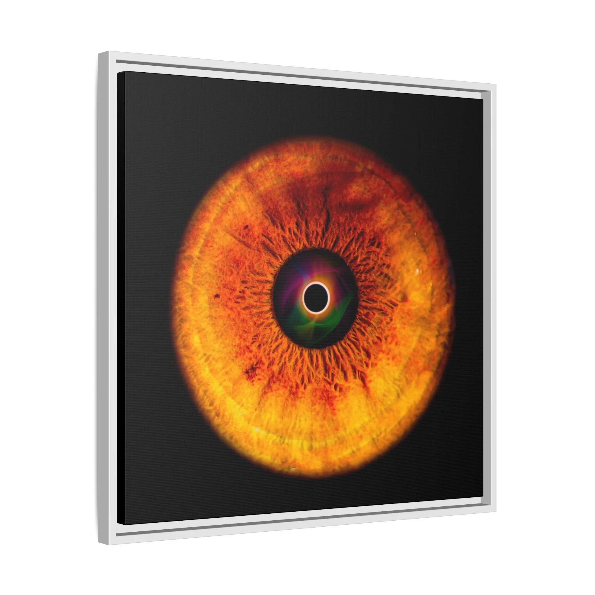 1cf916eca465859c43e160d3bce9f608