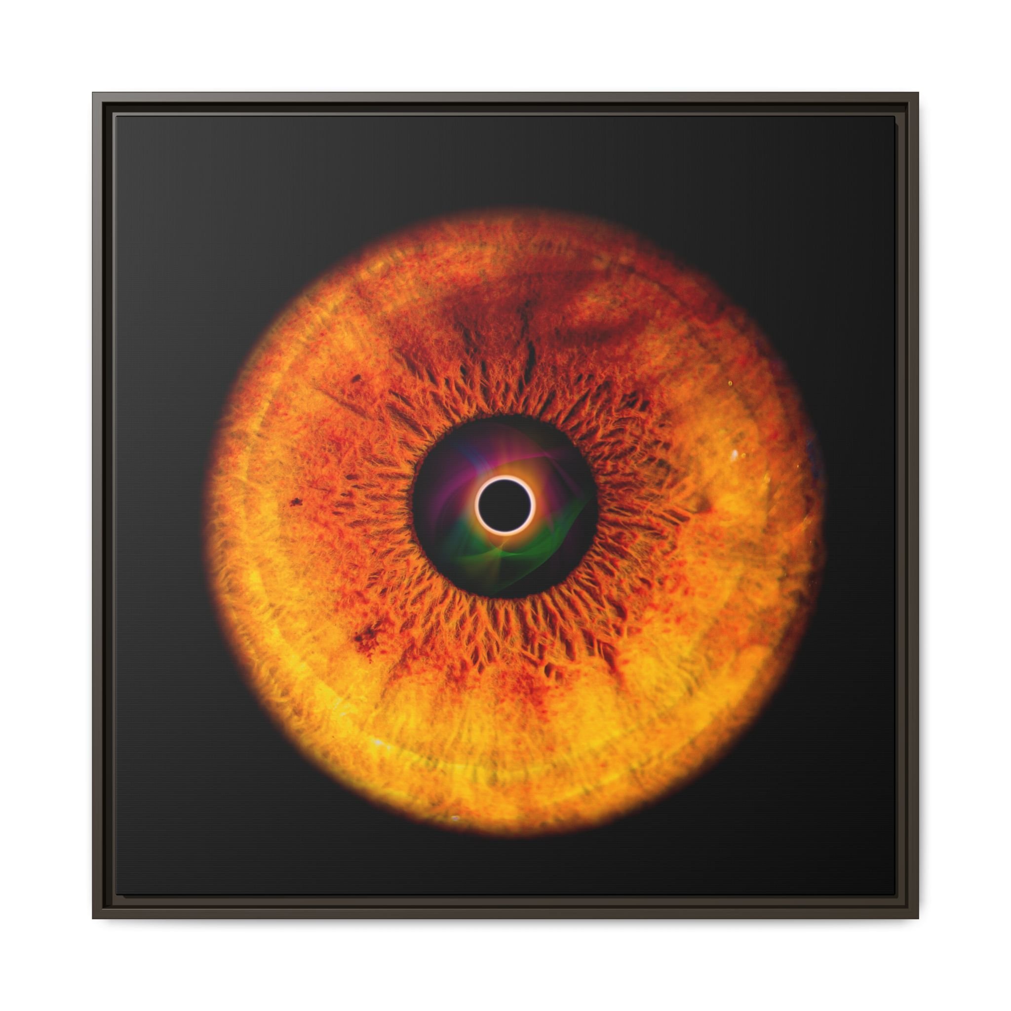 3d63f431bd4decfbd0329378c334172f