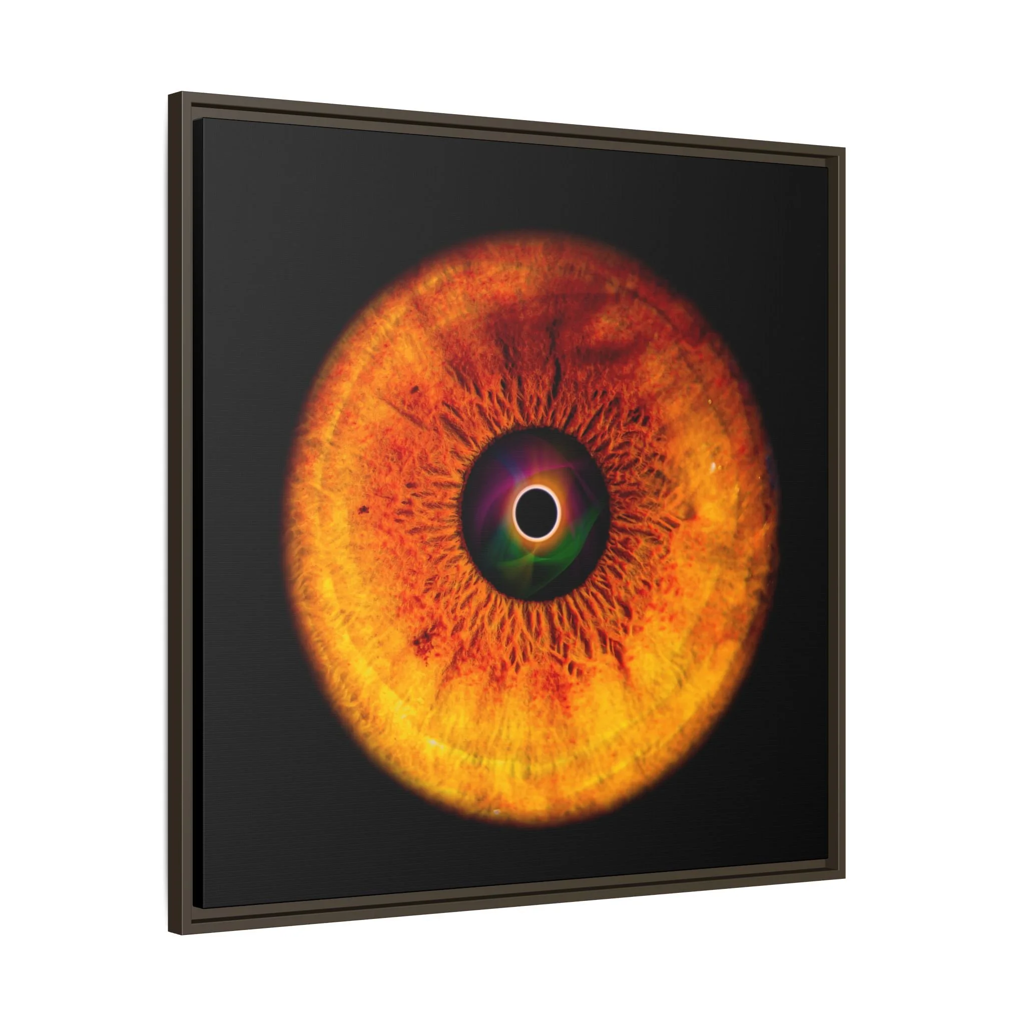 58605b153b472f49643797f9a6285657