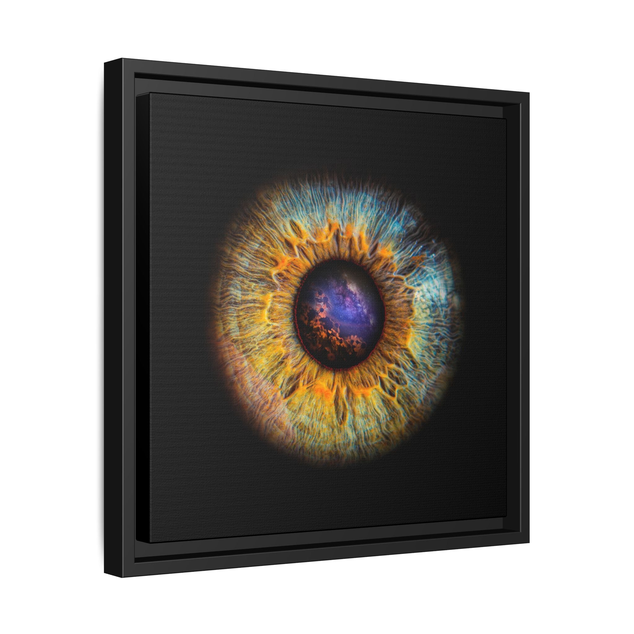 2e1e2fa5fc3eab9f8c7706d536817265