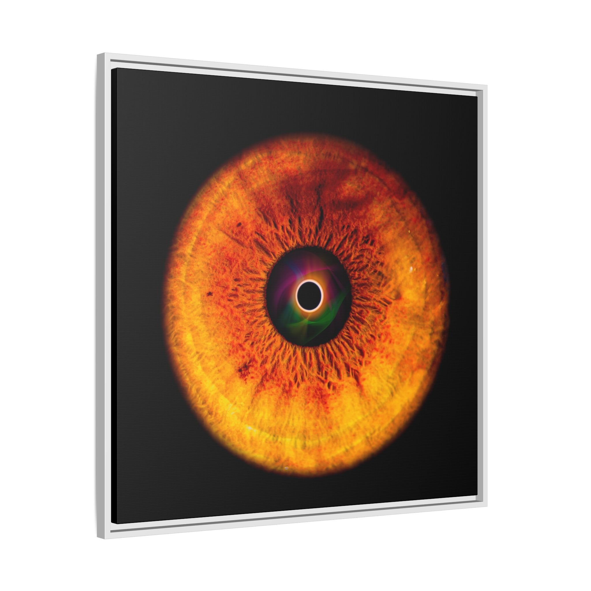 c8c075927be1f6fab136d6b69a665ddb