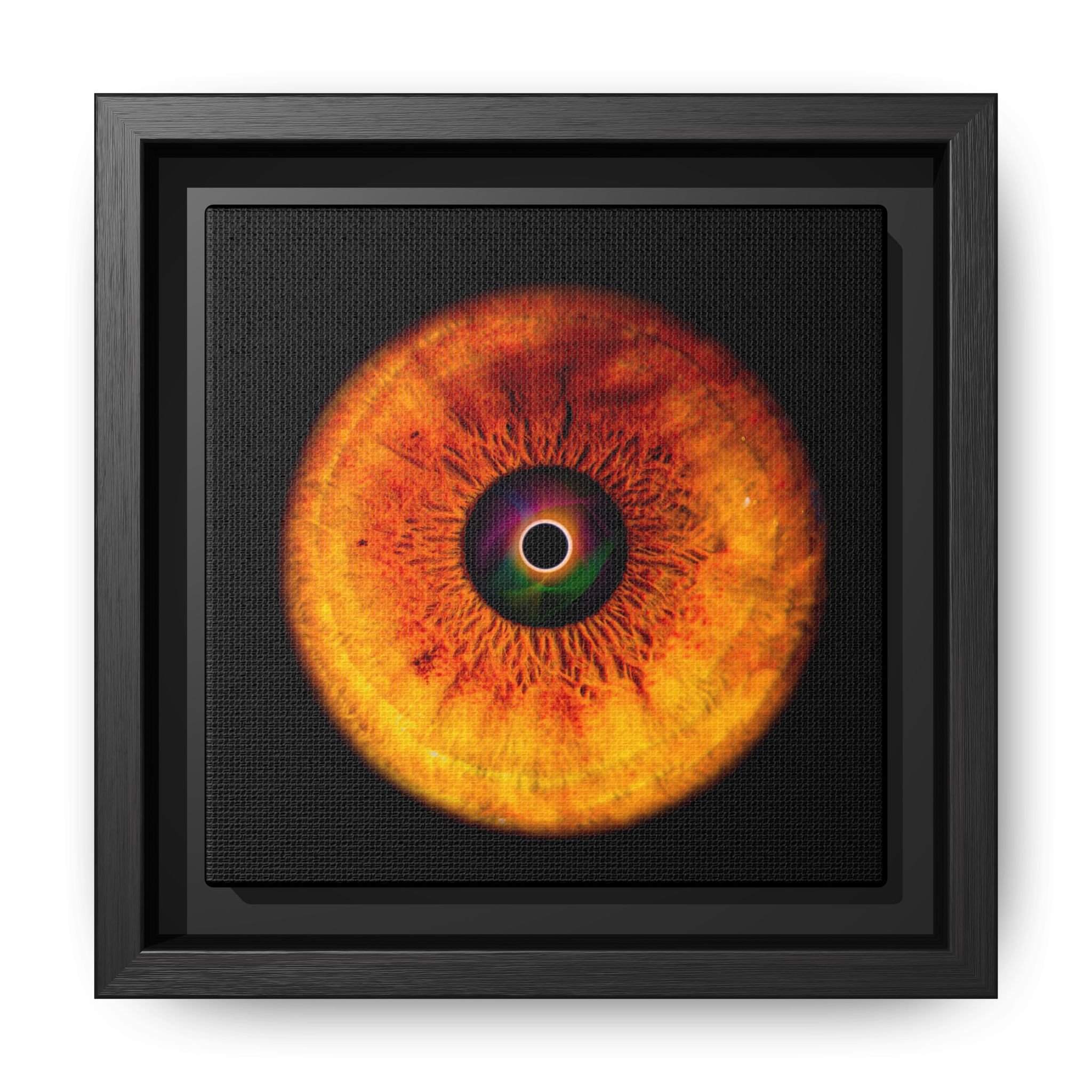 da10fc52da20555dc2e4b7e9d5281c44