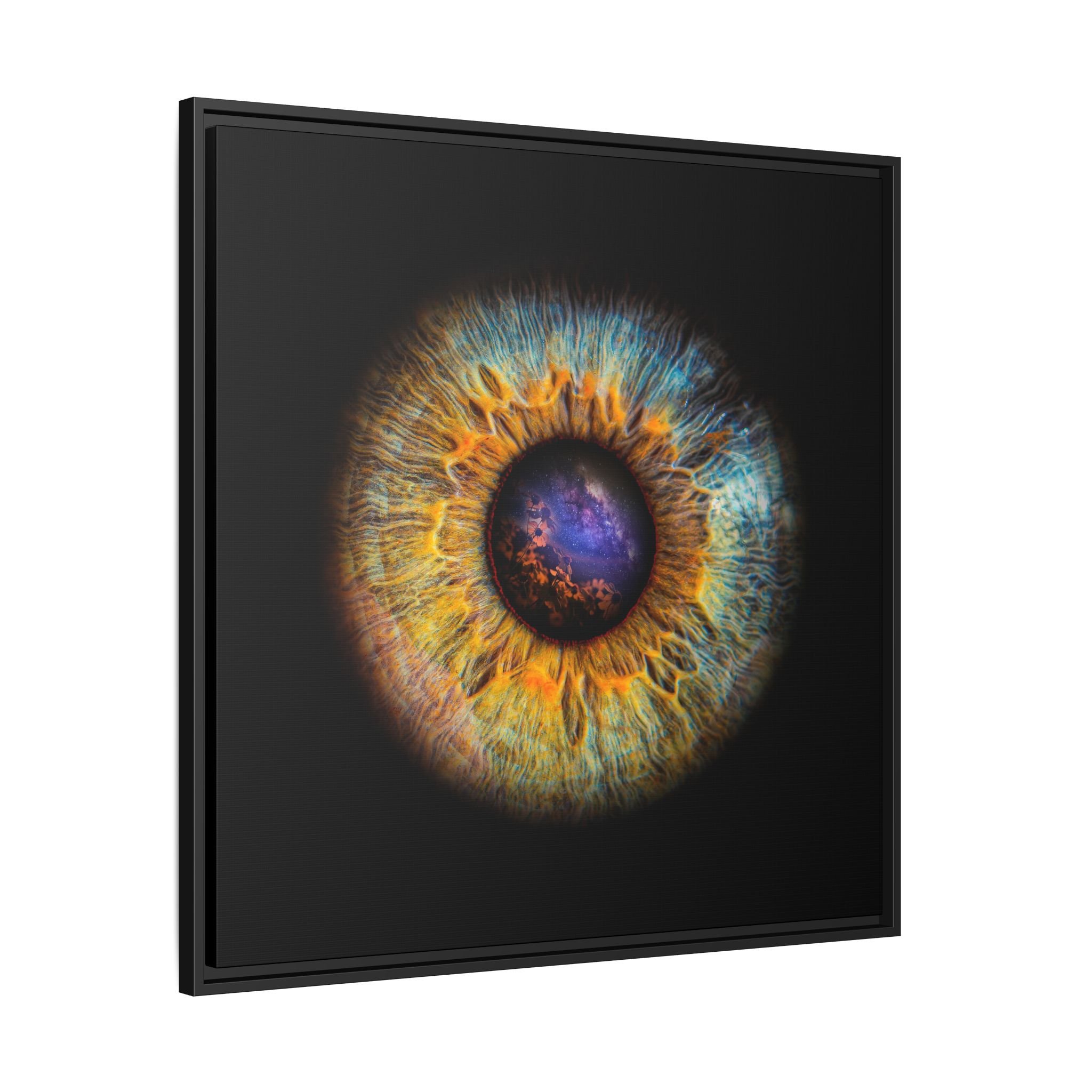 358ba1ef65247eb0c2fadb10c67d1a4a