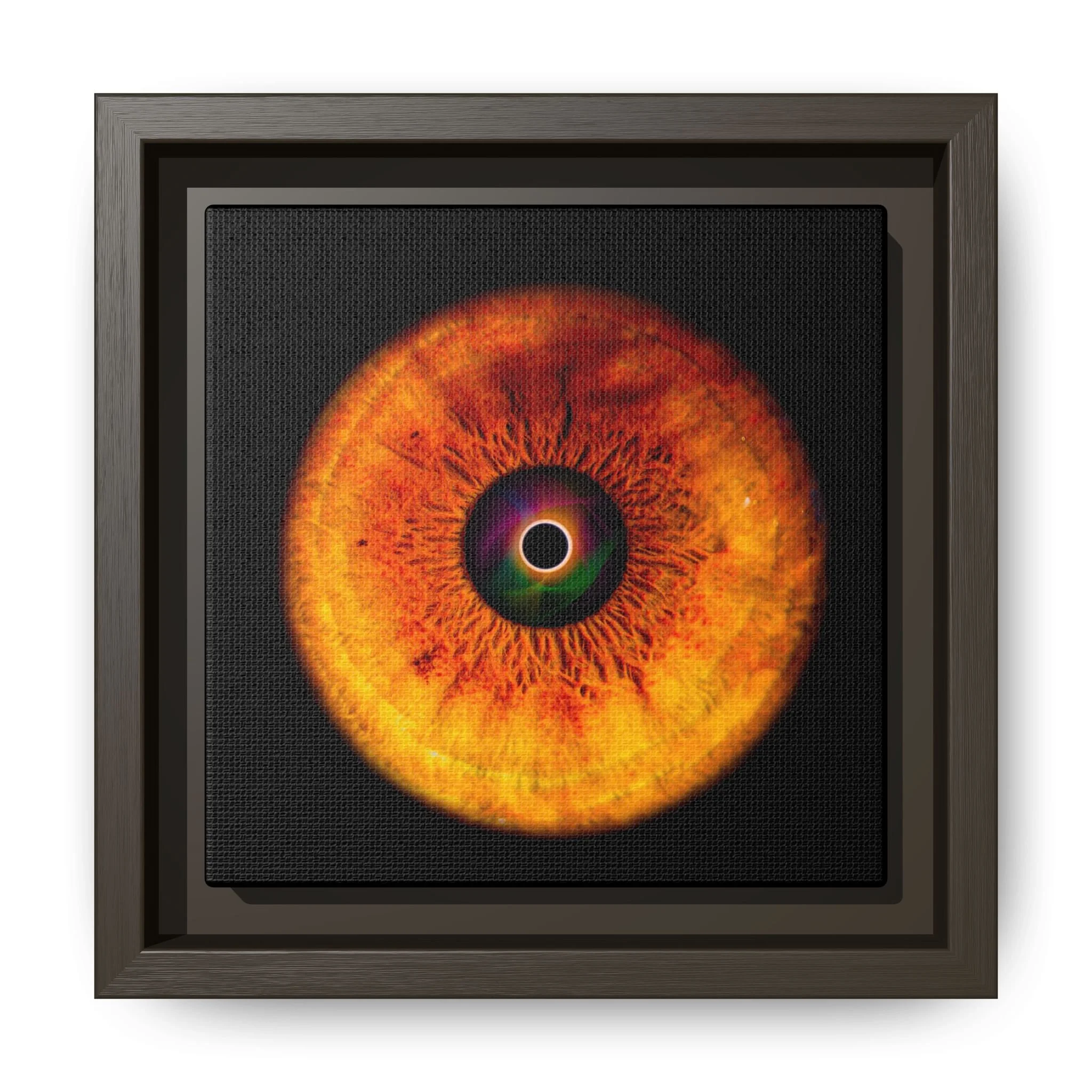 137c0b604c8e987f9ab3c1b169596c14