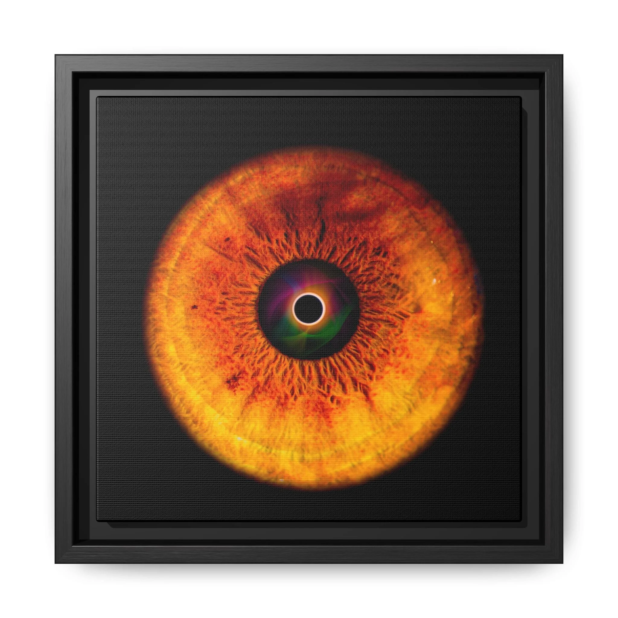 b02b75d990005099b98d835c1436b1d3