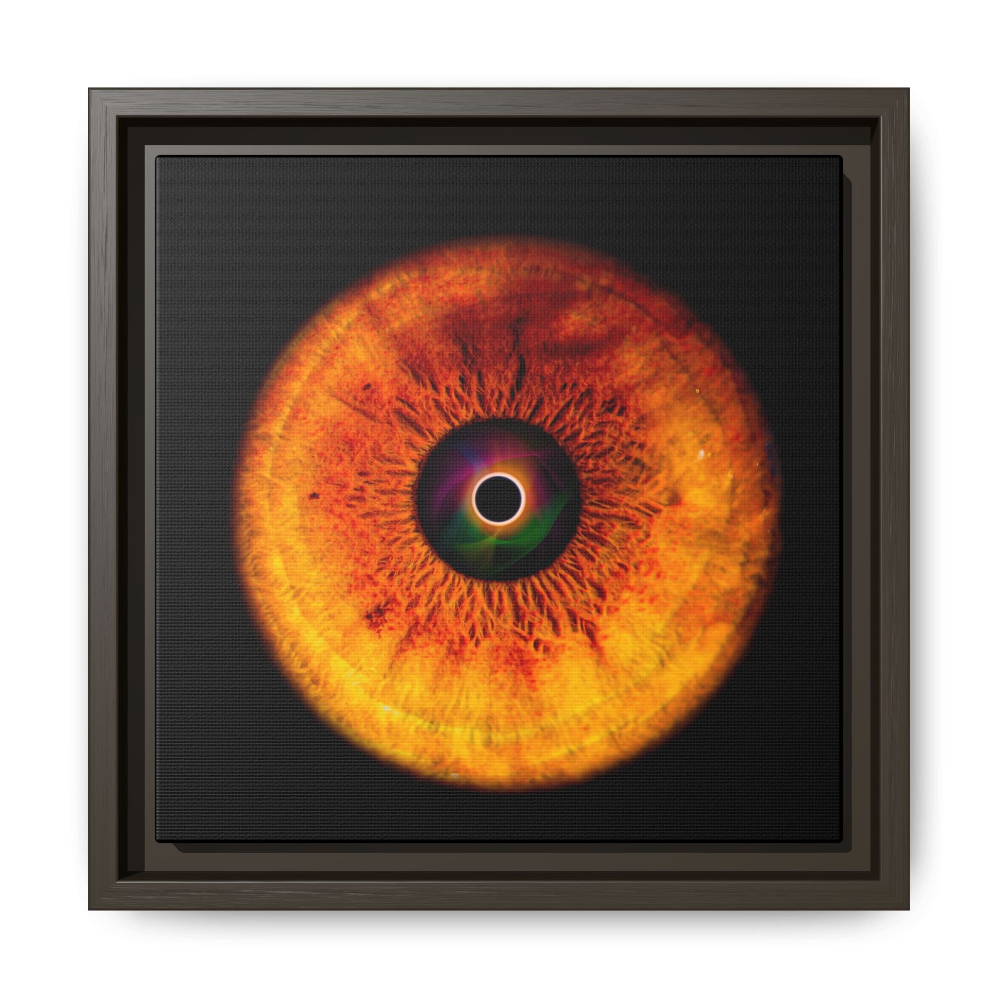 c6d4a2b7899bc50ab8109ac3e1fb1135