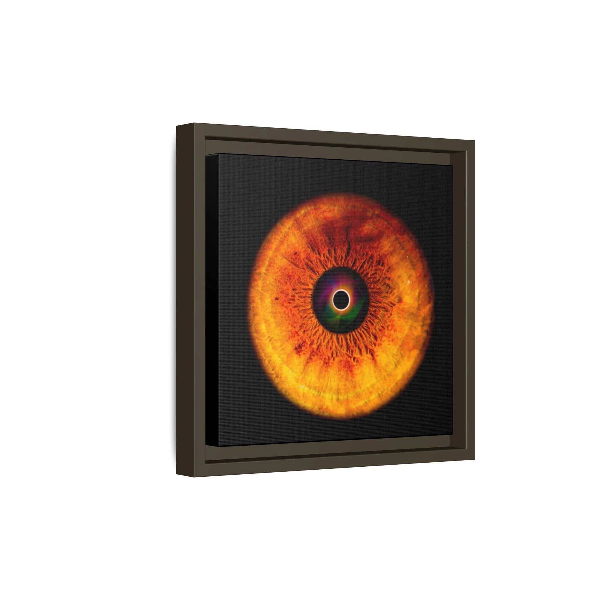 9921ae38b1c75f8983256ee851cdf989