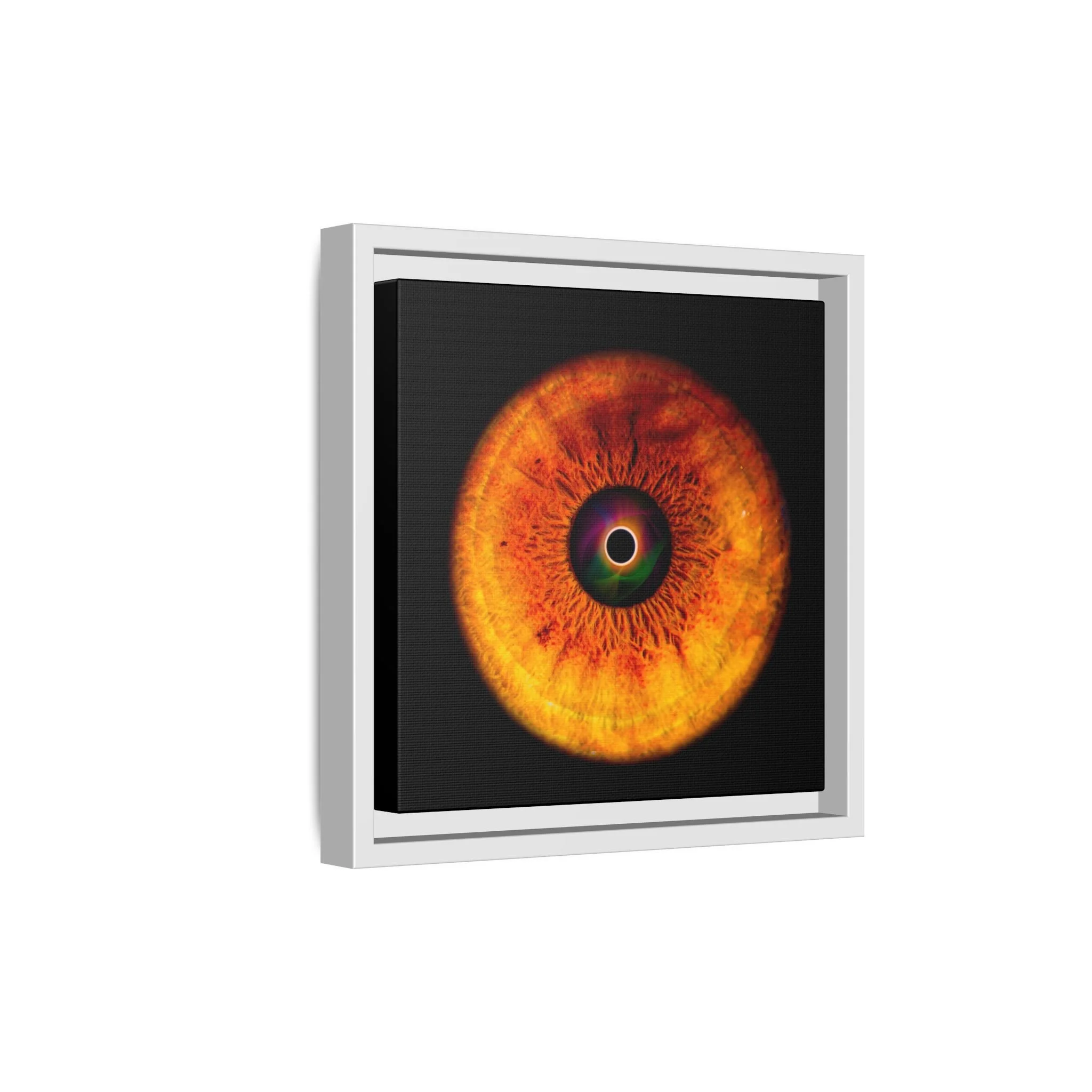 bf03dc01b480c1978d2f9e31262e2638