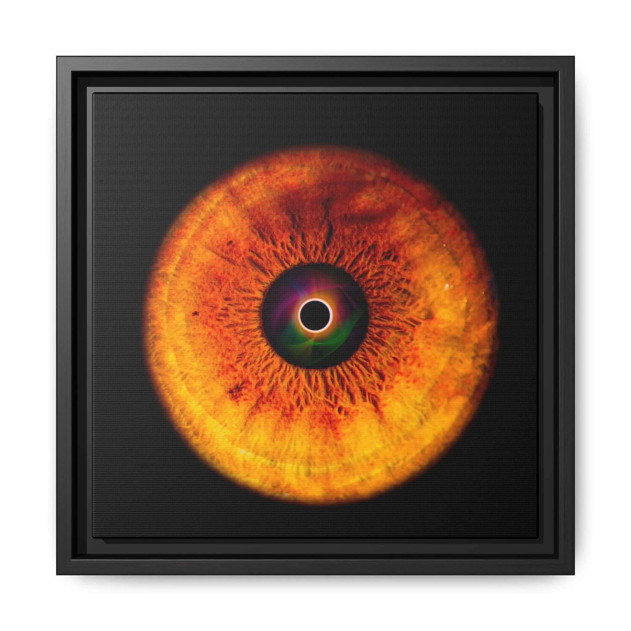 6423deecaff457fa814d295b8df74b84