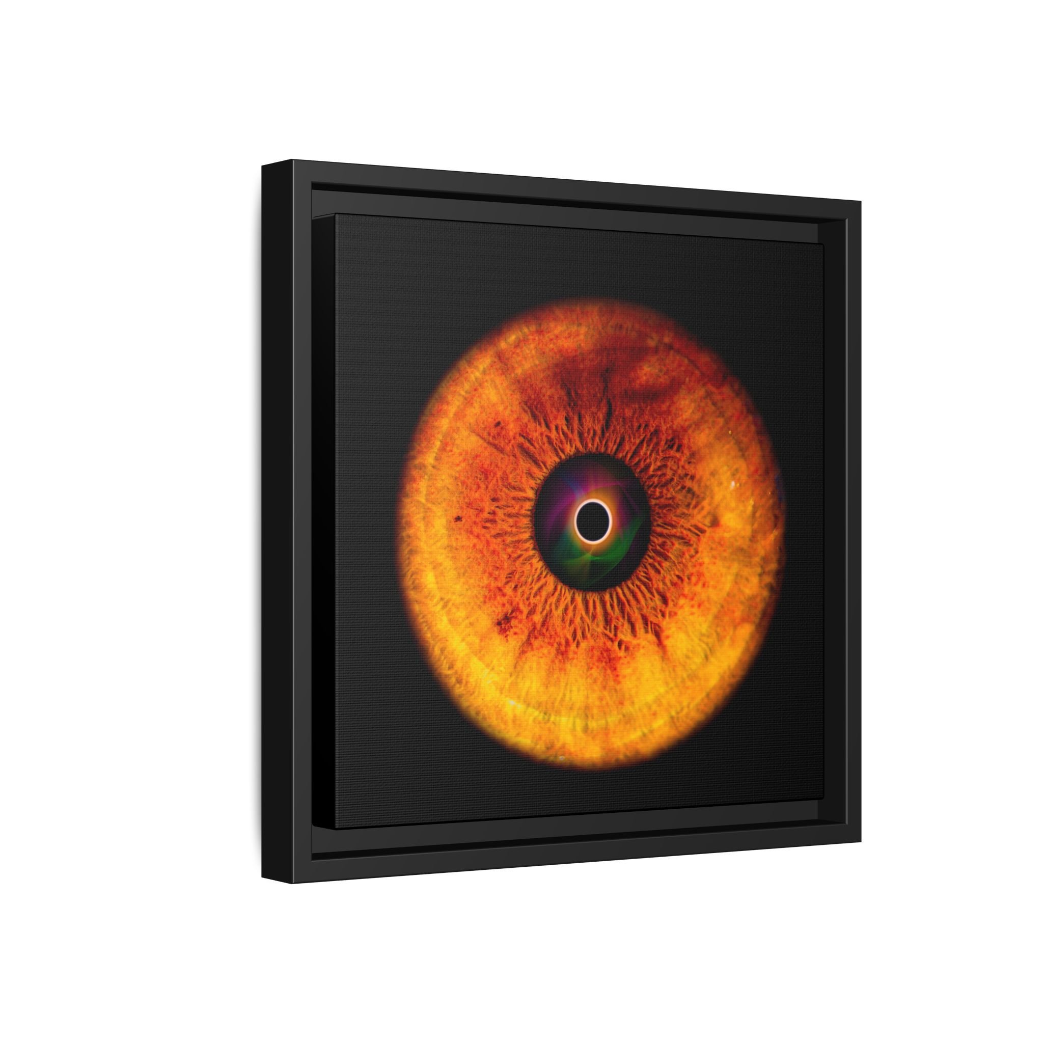 545b974a052361ed2352d562bfaf3bbc