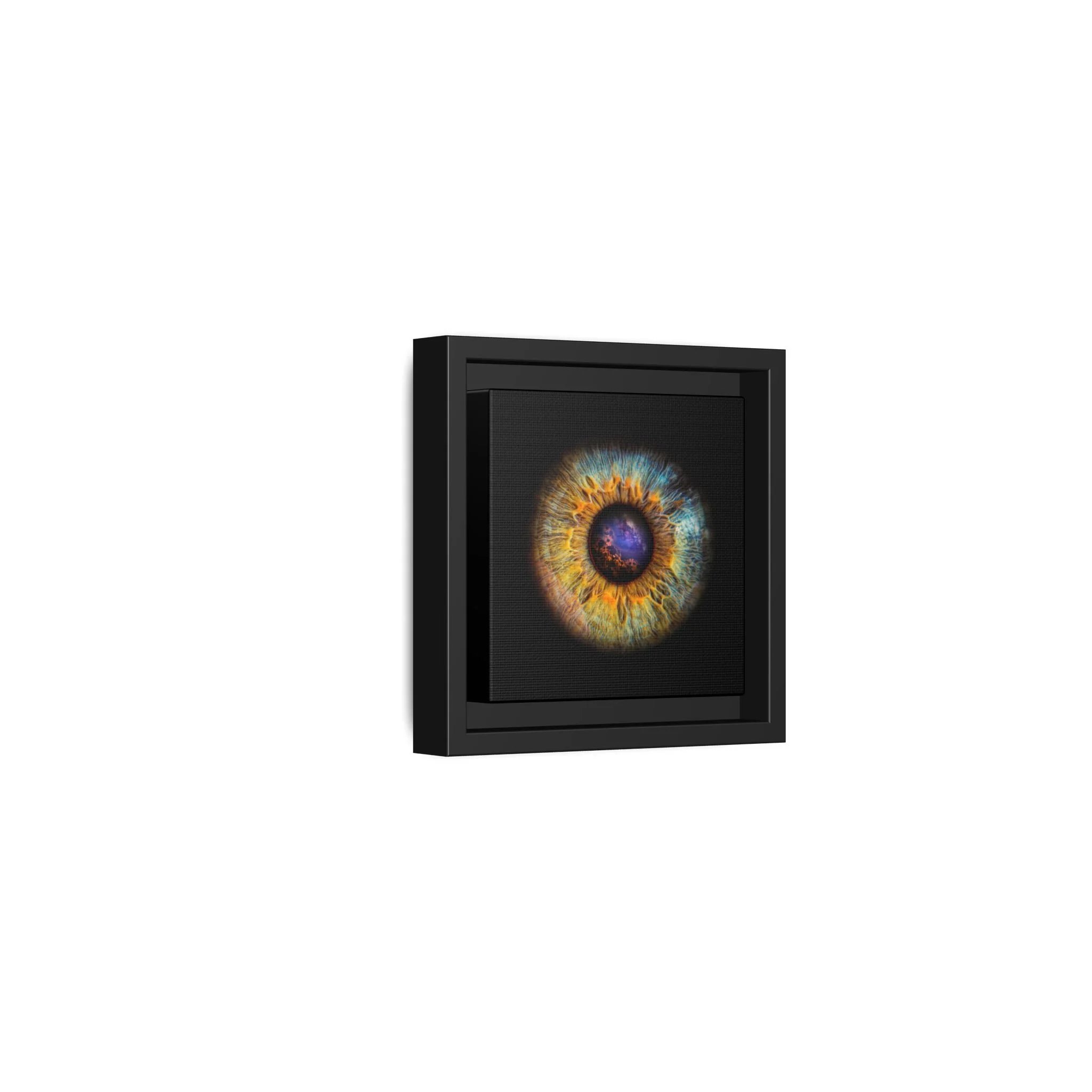 9ad661cb696513df2fd7bd3808293d86