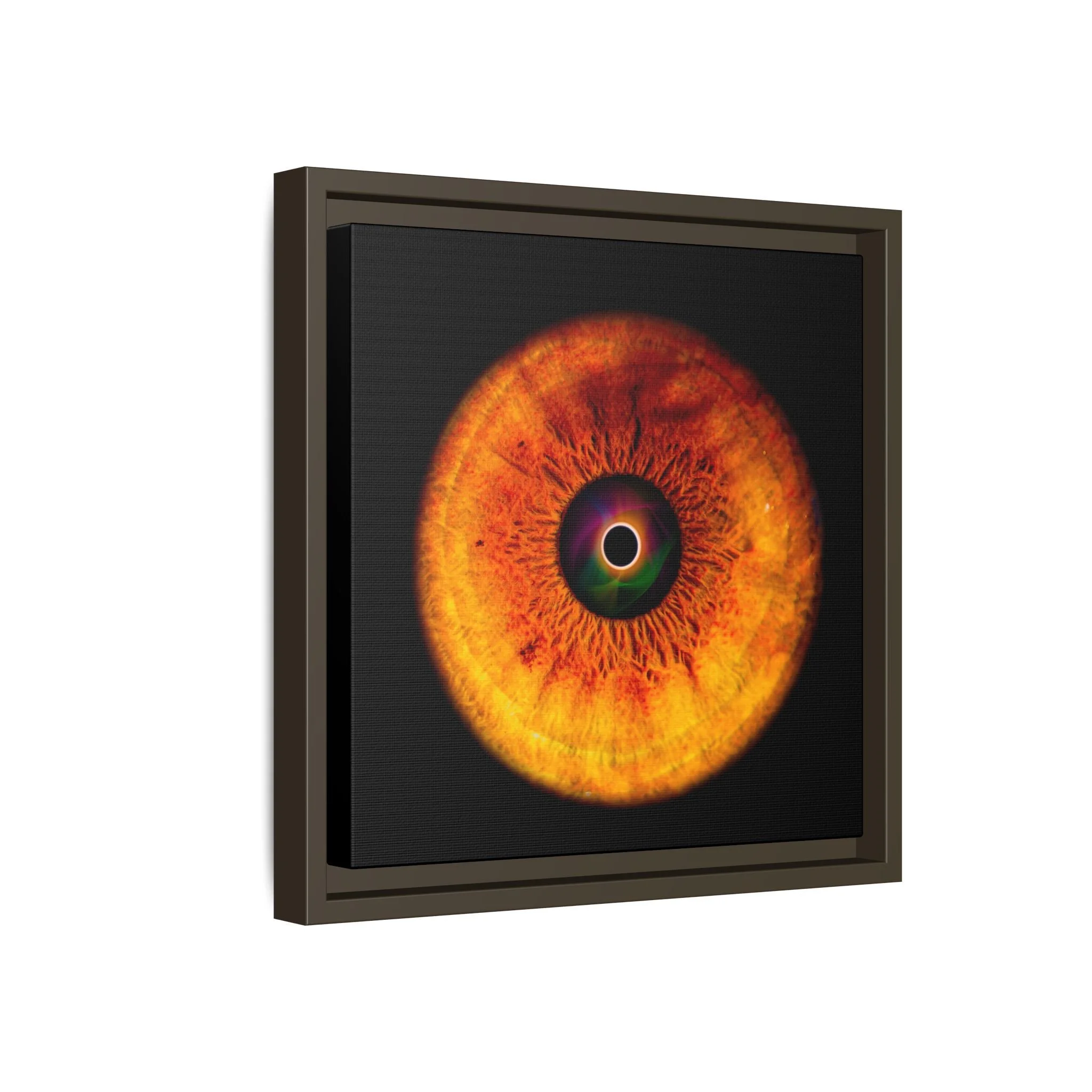 9eb06bb44bf5de86a0a725b148ef6d5e