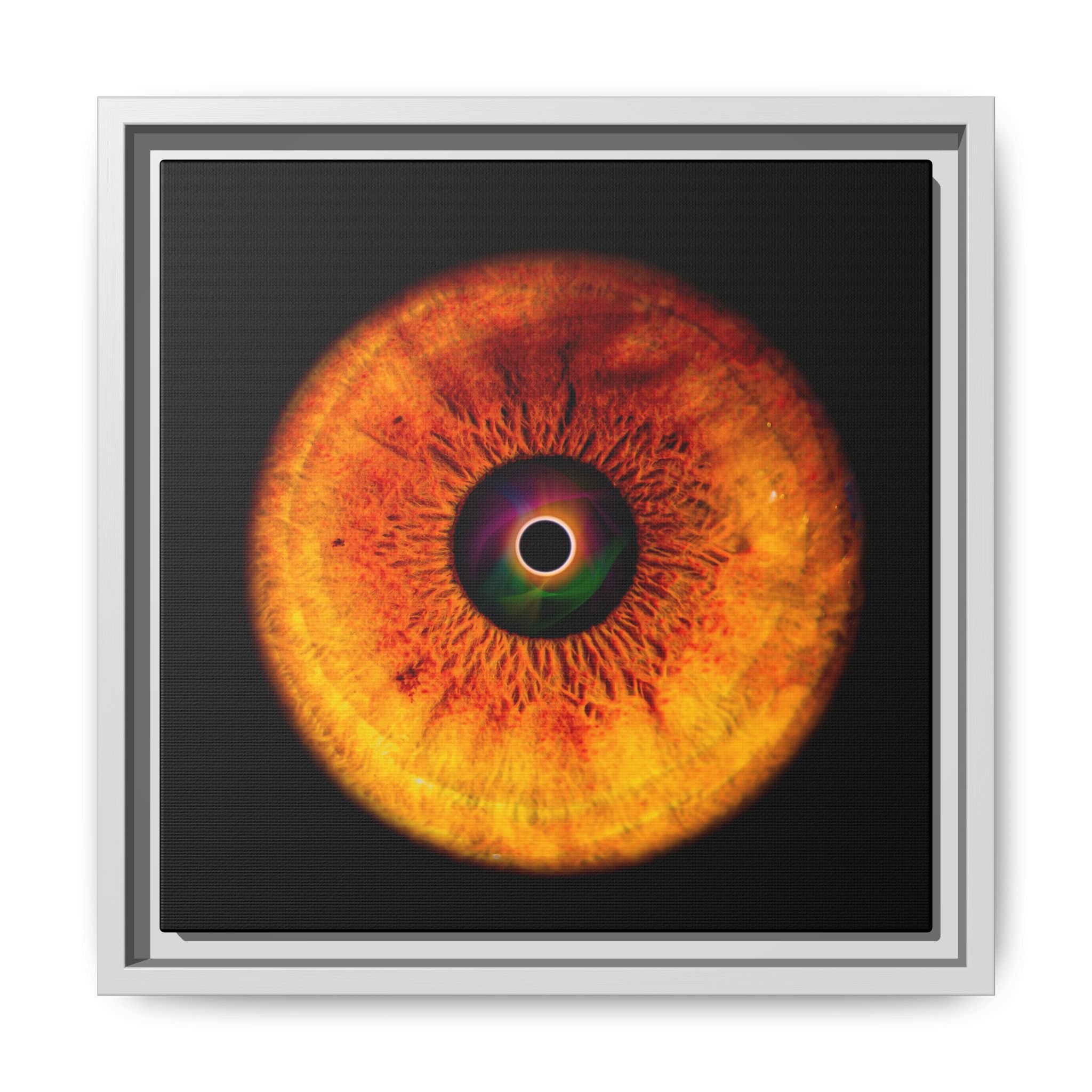 8dff73721a40c1f7c67cfb0e04e8801f