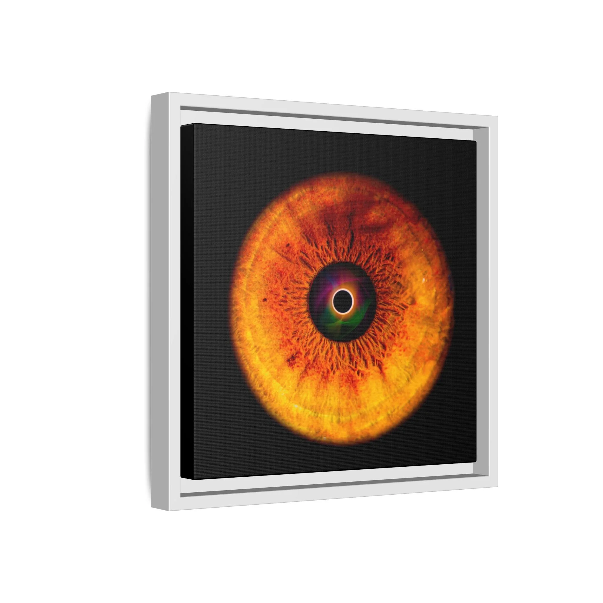 b640be433e573bd605d9741ed6702acc