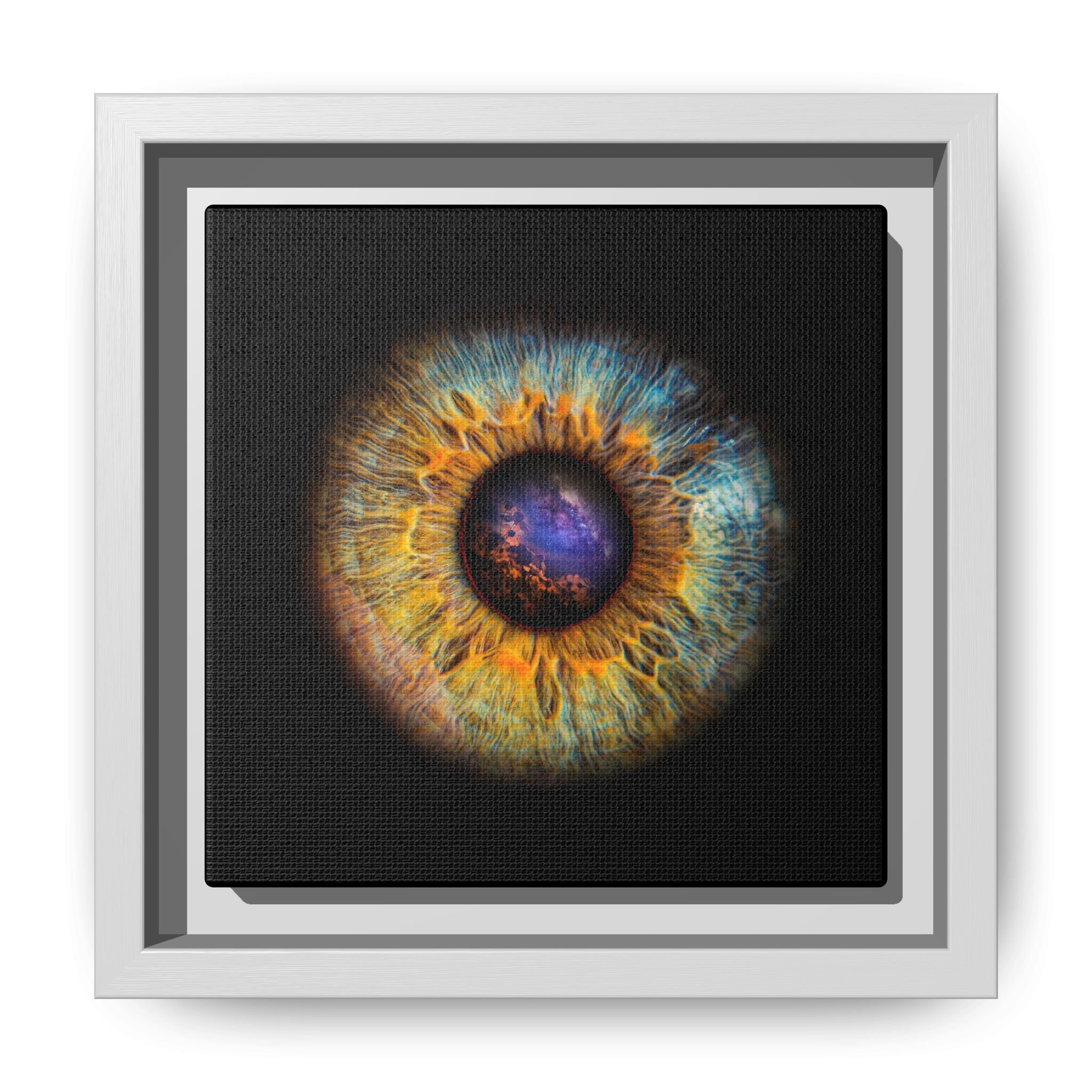 66a9fedab250dd6bfc86d43b21b3a1aa