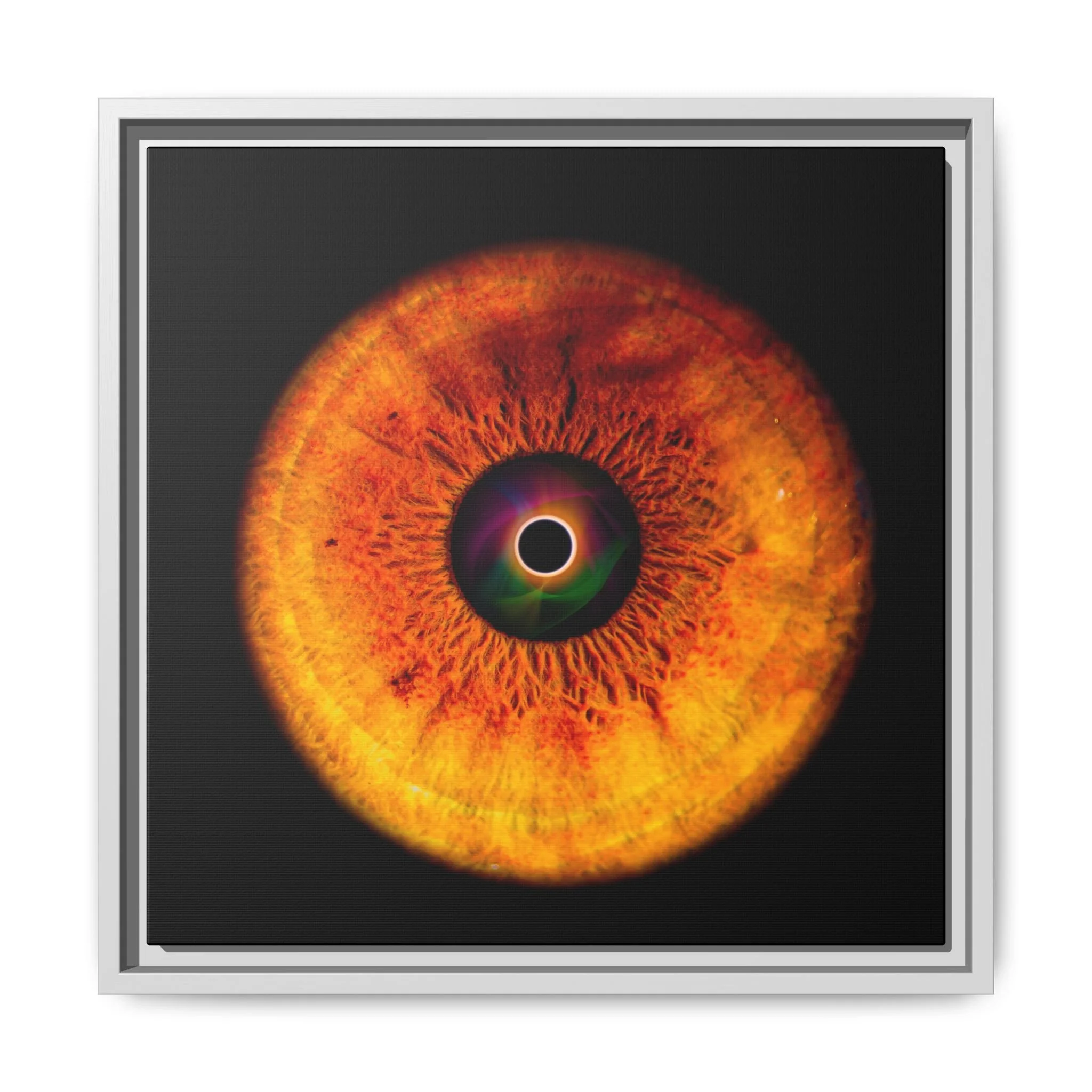 12eb3774b3616bad446fd62ec8565369