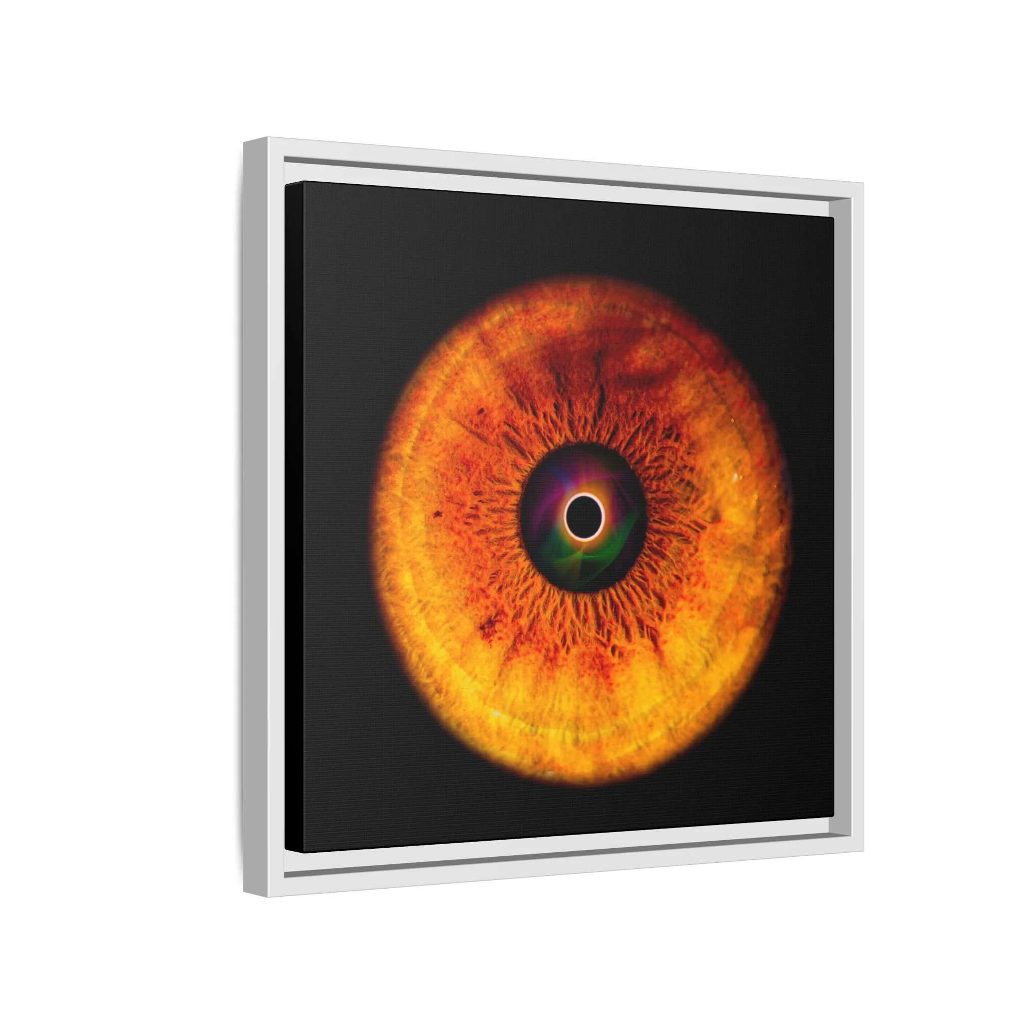 7378e5db252e0835031f5092c3167176