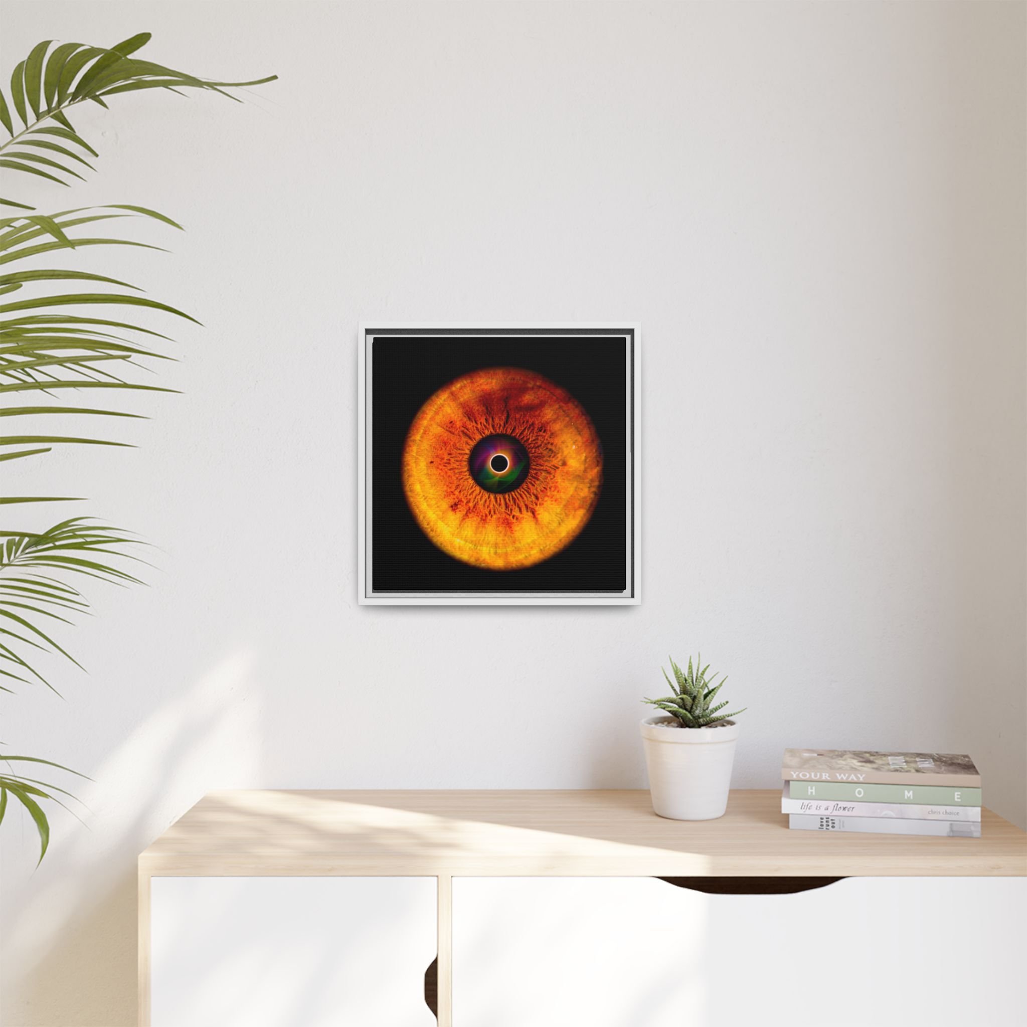 7267772598a5c958716ad17f00dc99f4