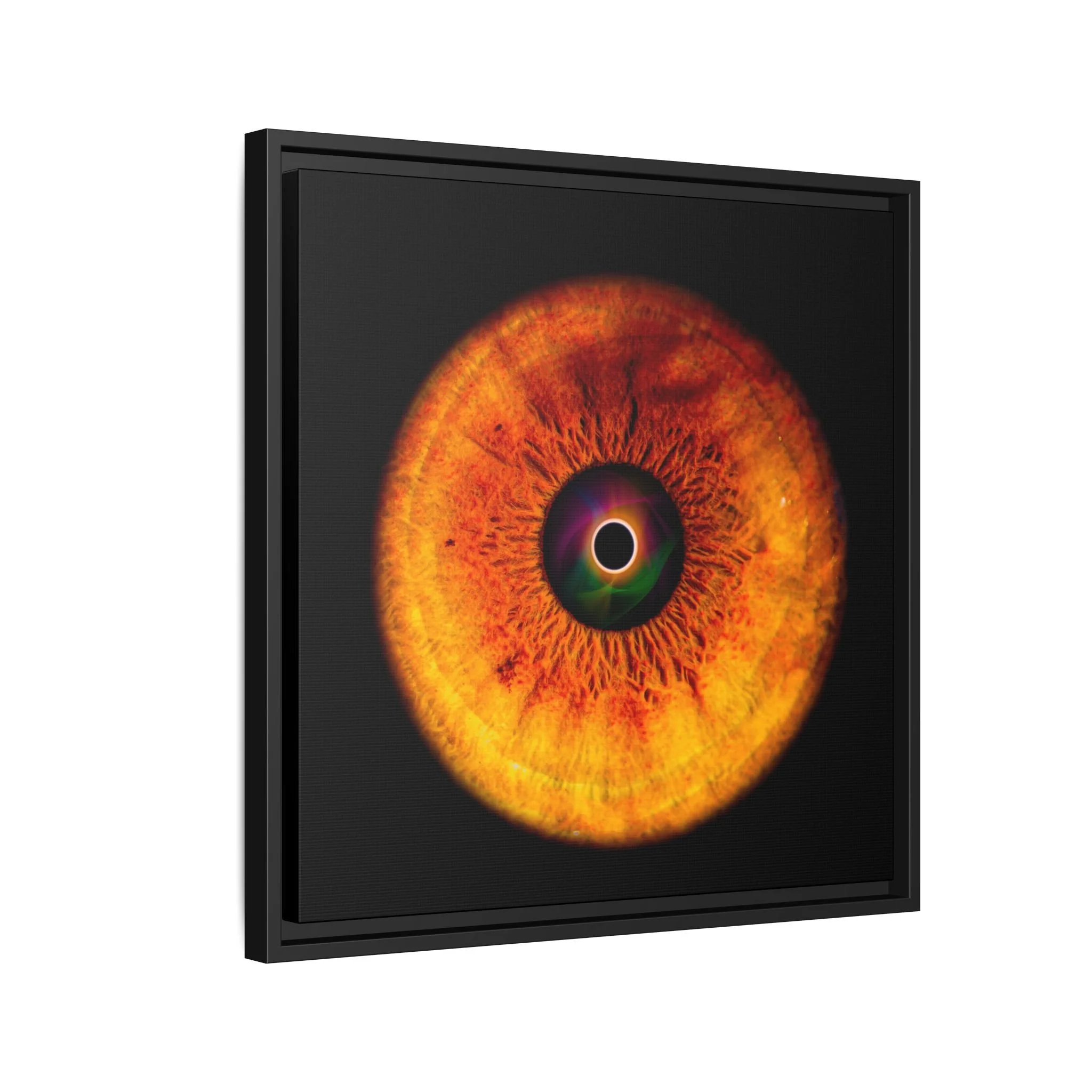 705af43fb2666d96114618810004648c