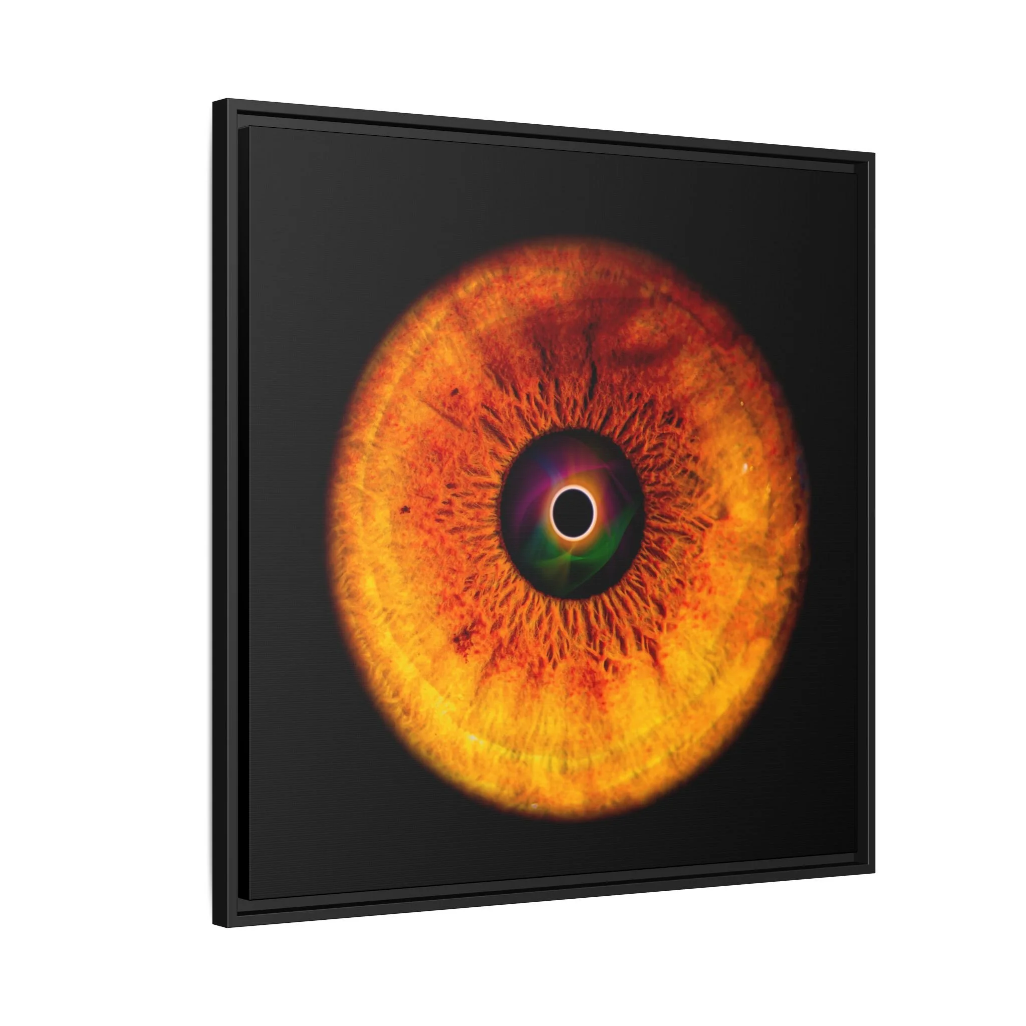 8937800e0b9709030233259c5d897c94