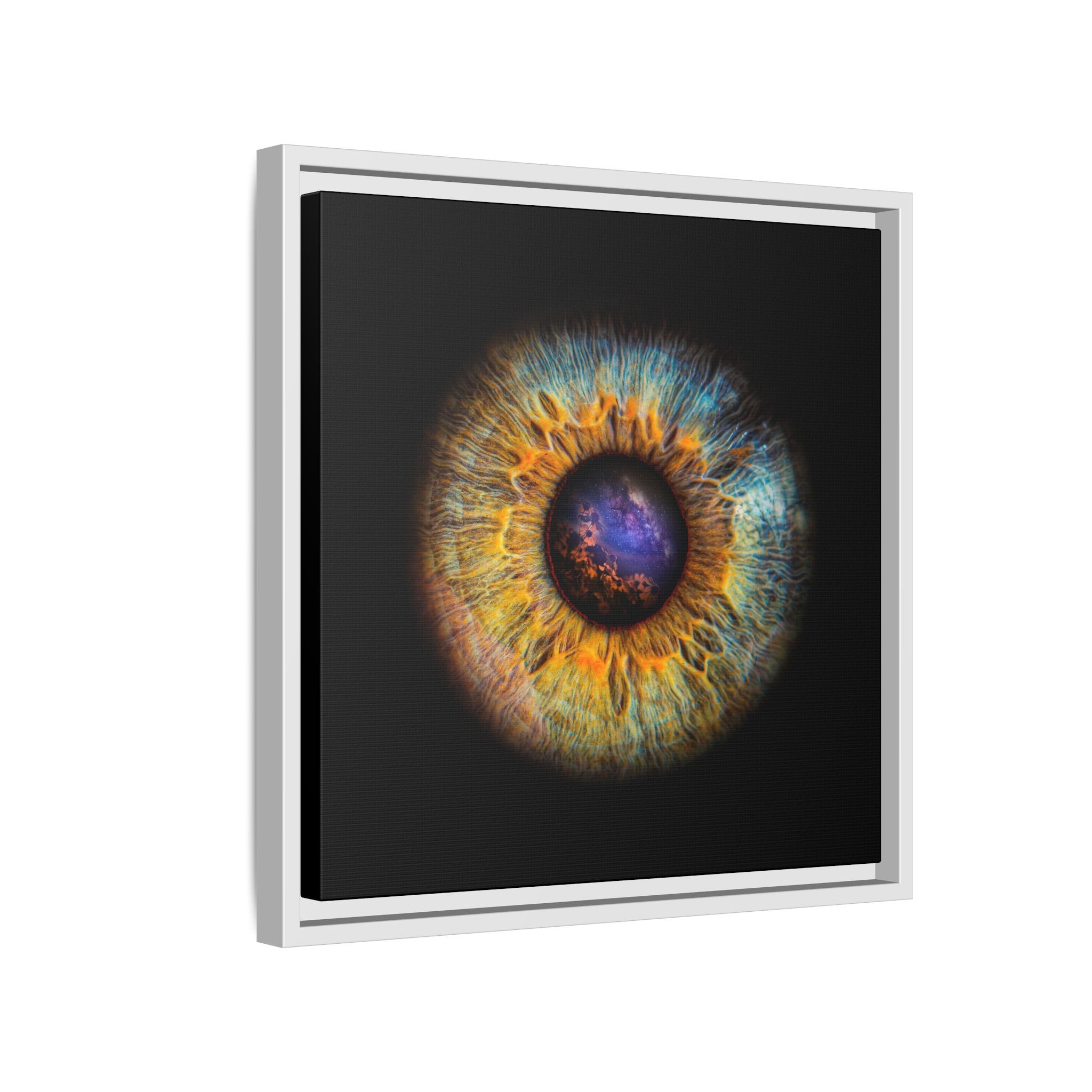 c2c8c2c9dbfc317d22d05ad5e33672de