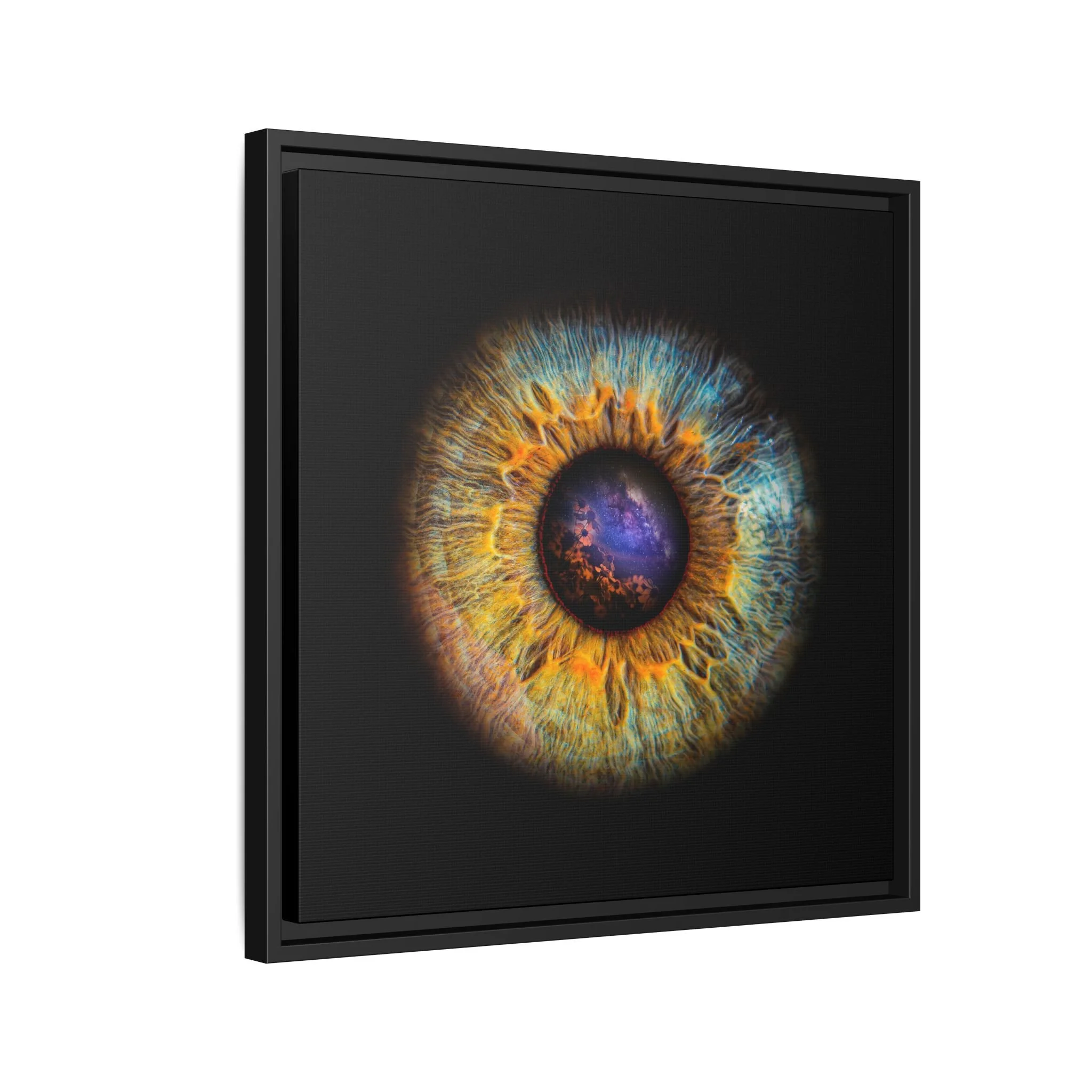 87644a4848977eaad9d4c2af80db85d3