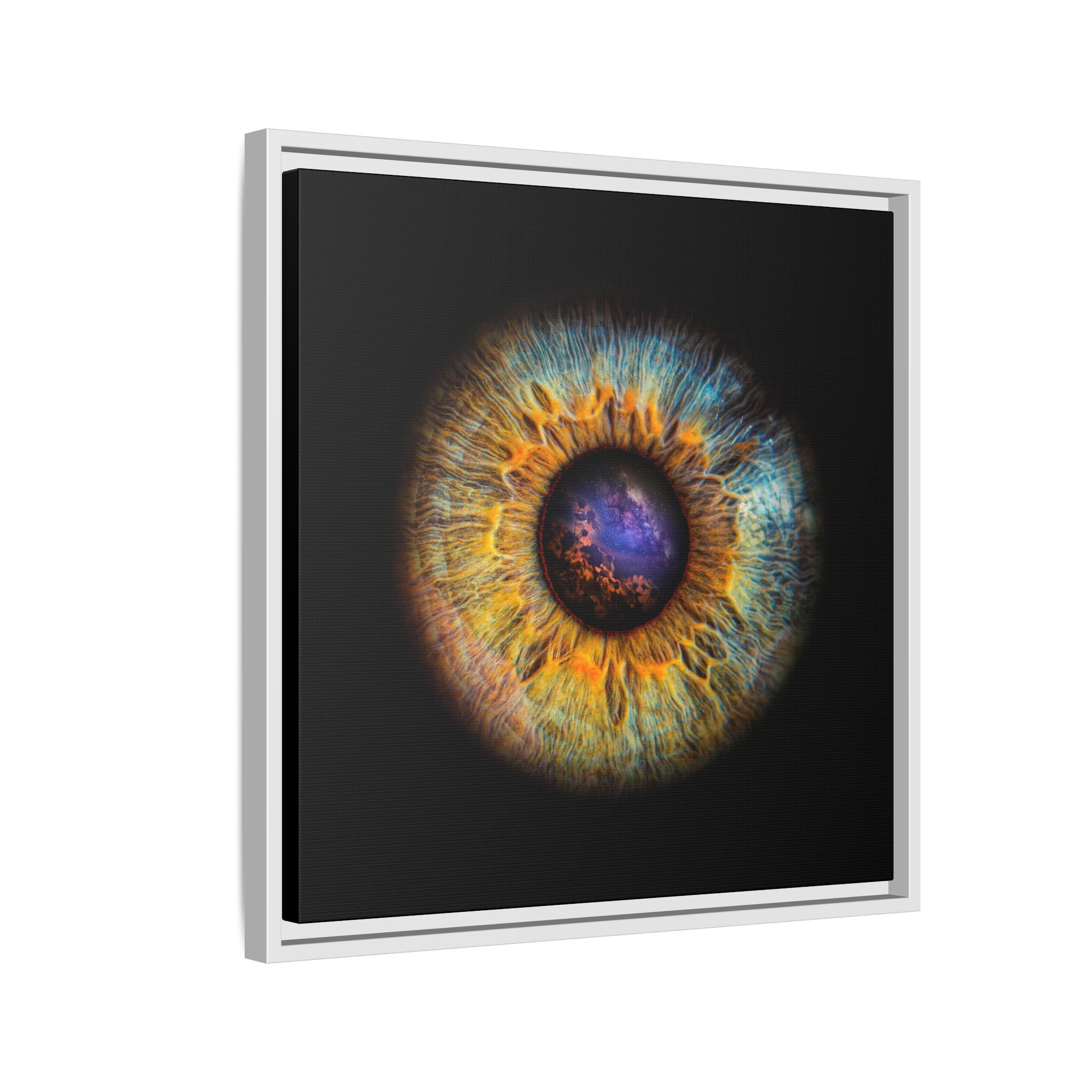 078b6e64b51c1f095ad1889f0f9f8075