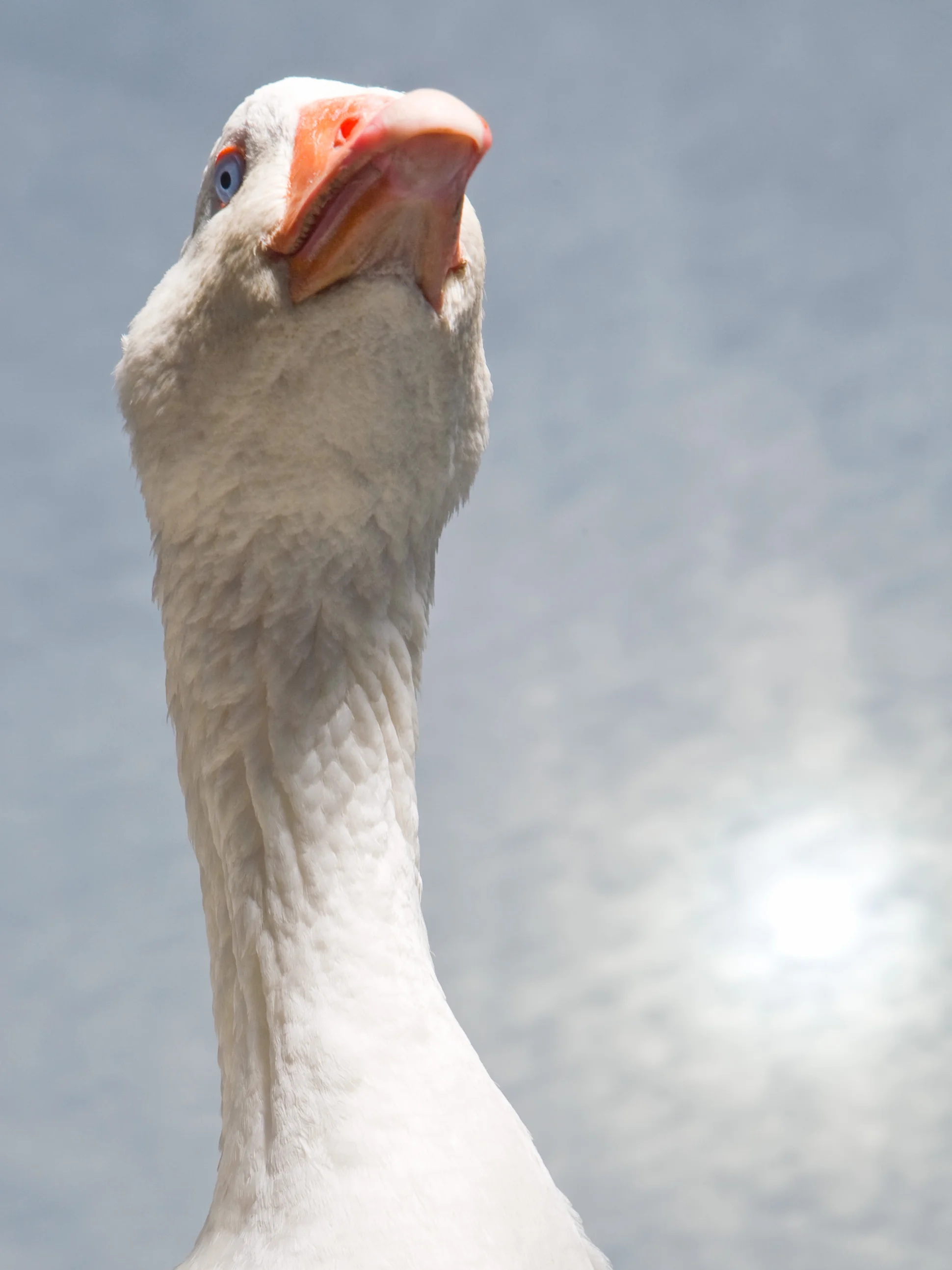 20080605-f1167.jpg