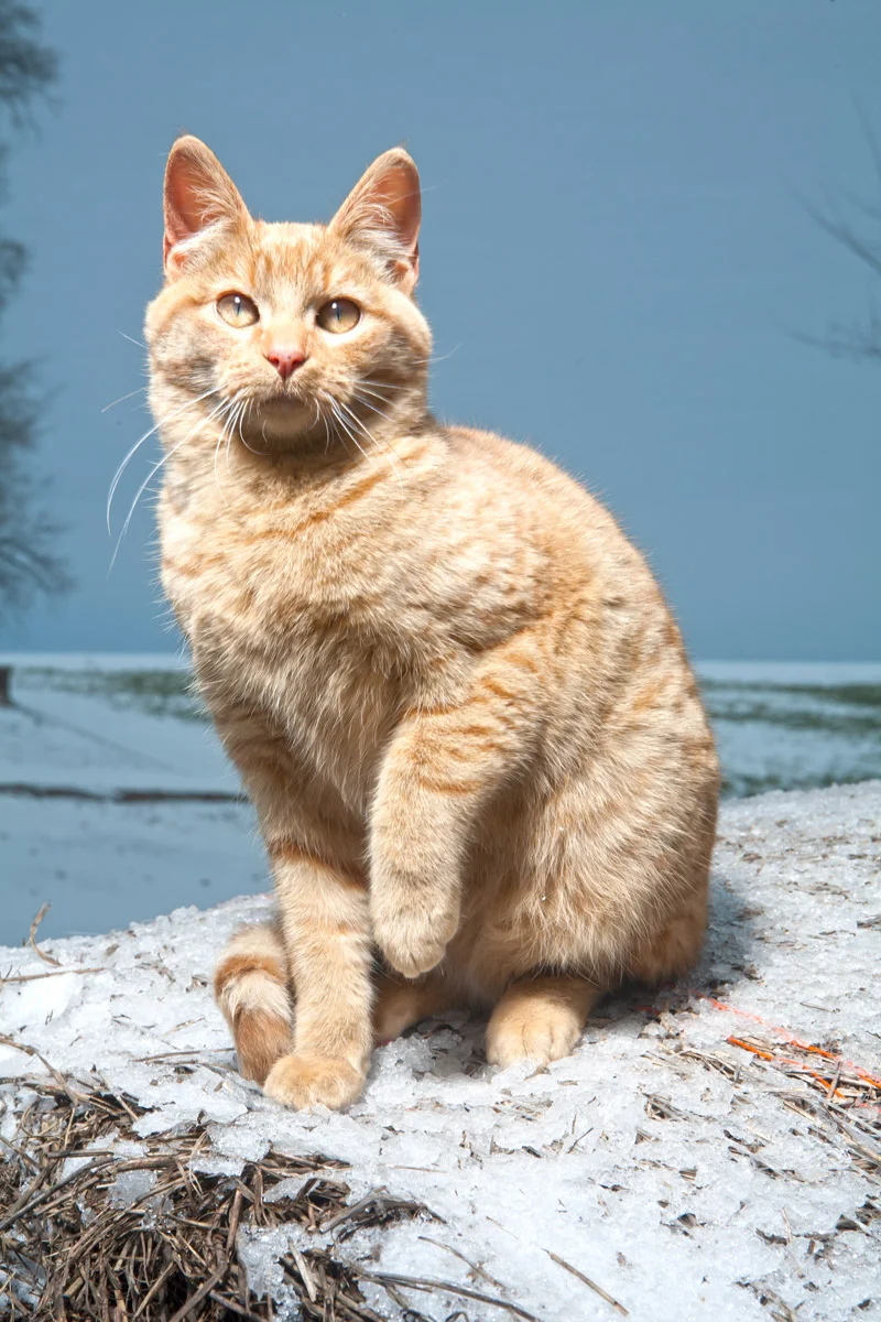 20080605-f1247_Web.jpg