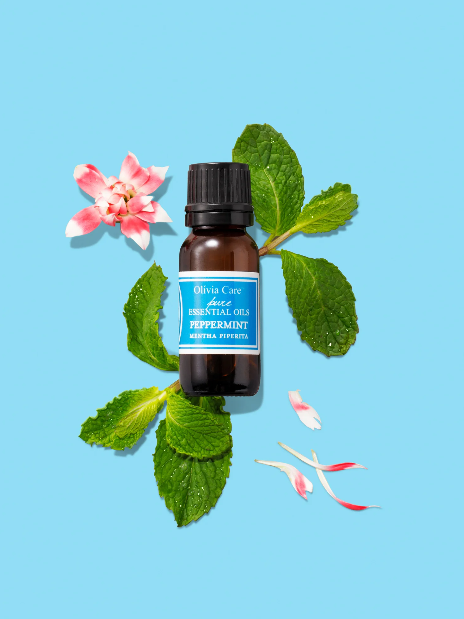 C-000835-01-041_Beauty_AugWk1_EssentialOils_4.jpg