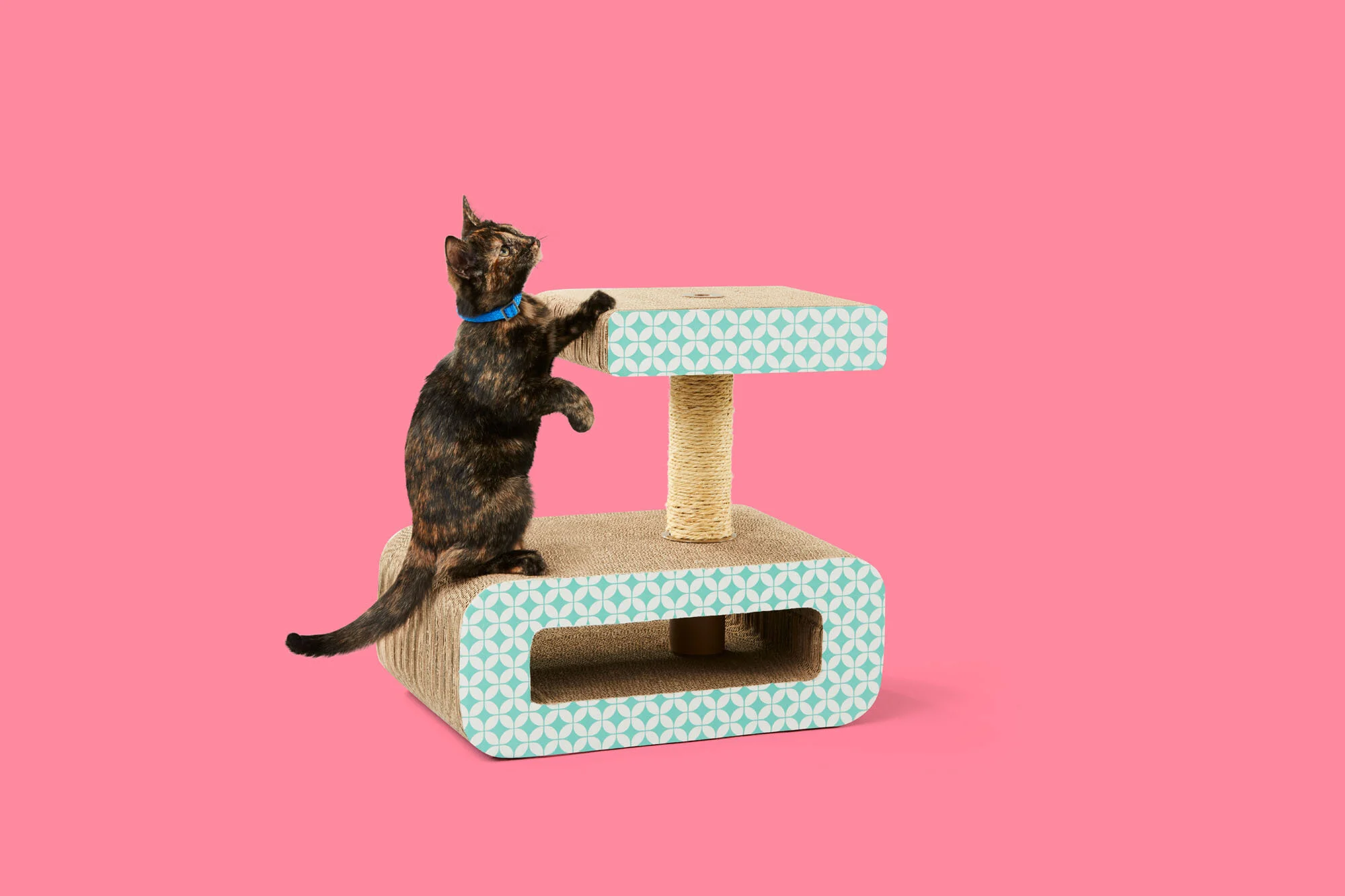 C-001088-01-056_09Wk1_Pets_SH_CatScratcher.jpg