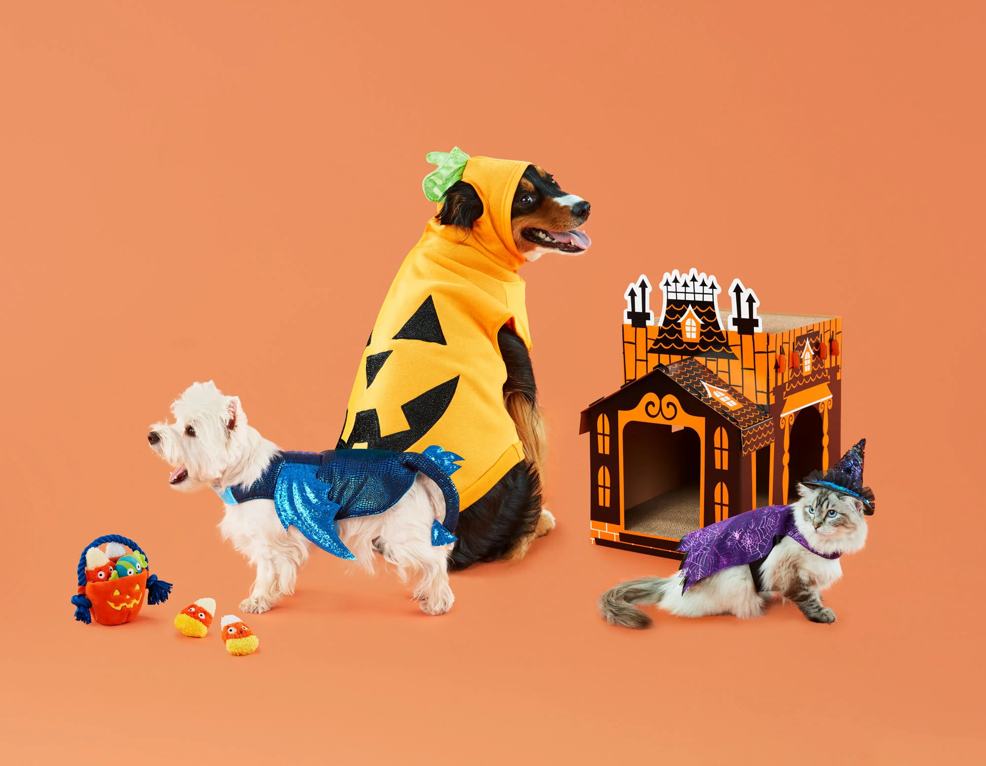C-001088-01-056_09_Wk1_Pets_SH_Halloween_1.jpg