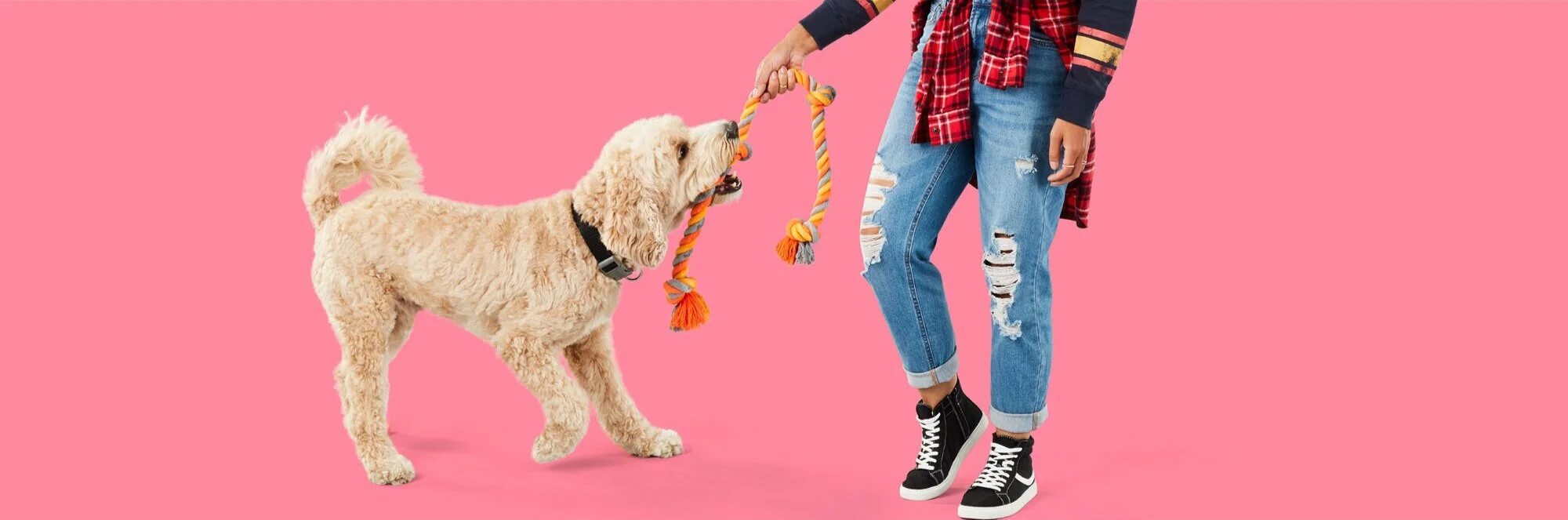 C-001088-01-056_09Wk1_Pets_SH_DogToys_Desktop_28445.jpg