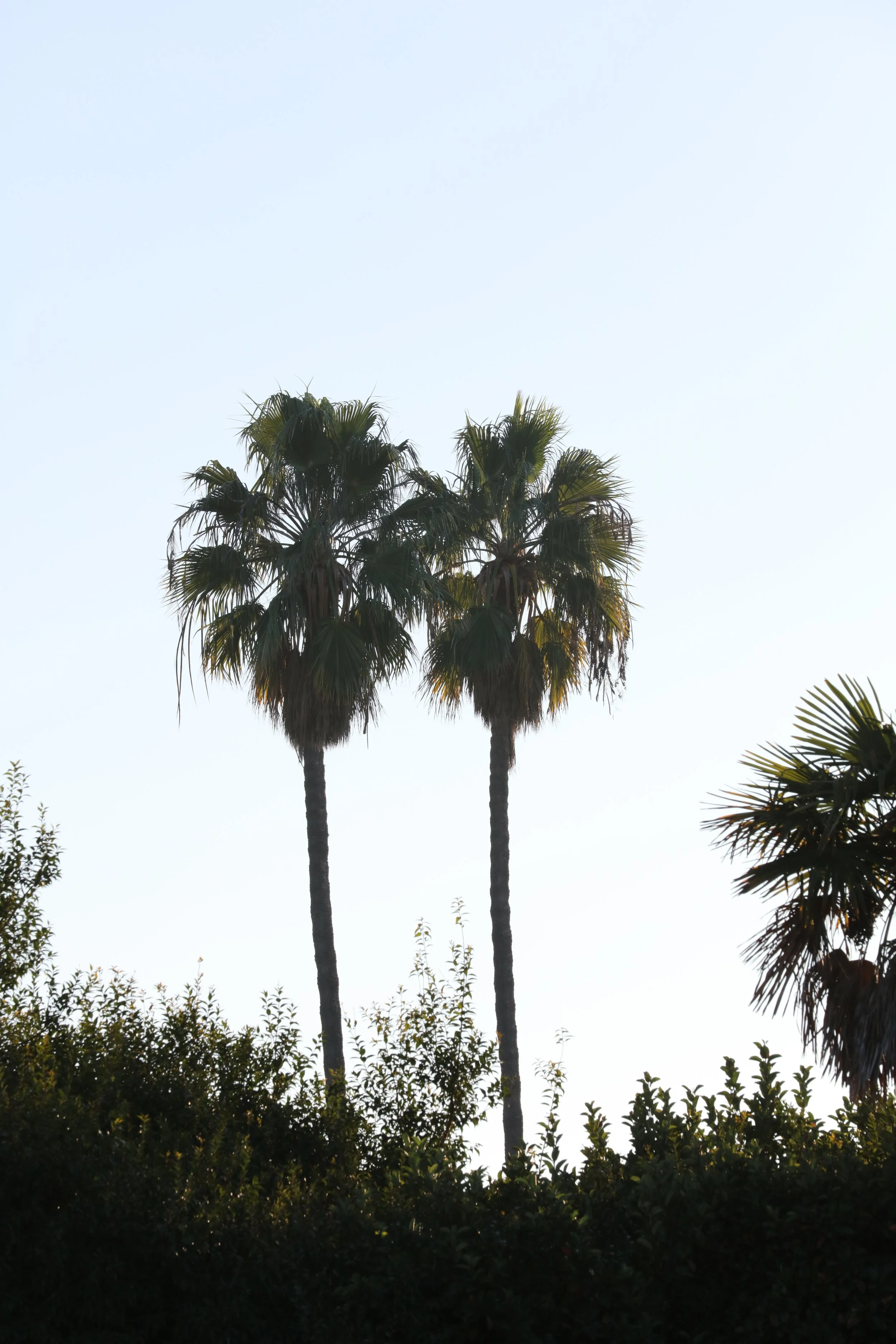 010618_SyncLyte_003.JPG
