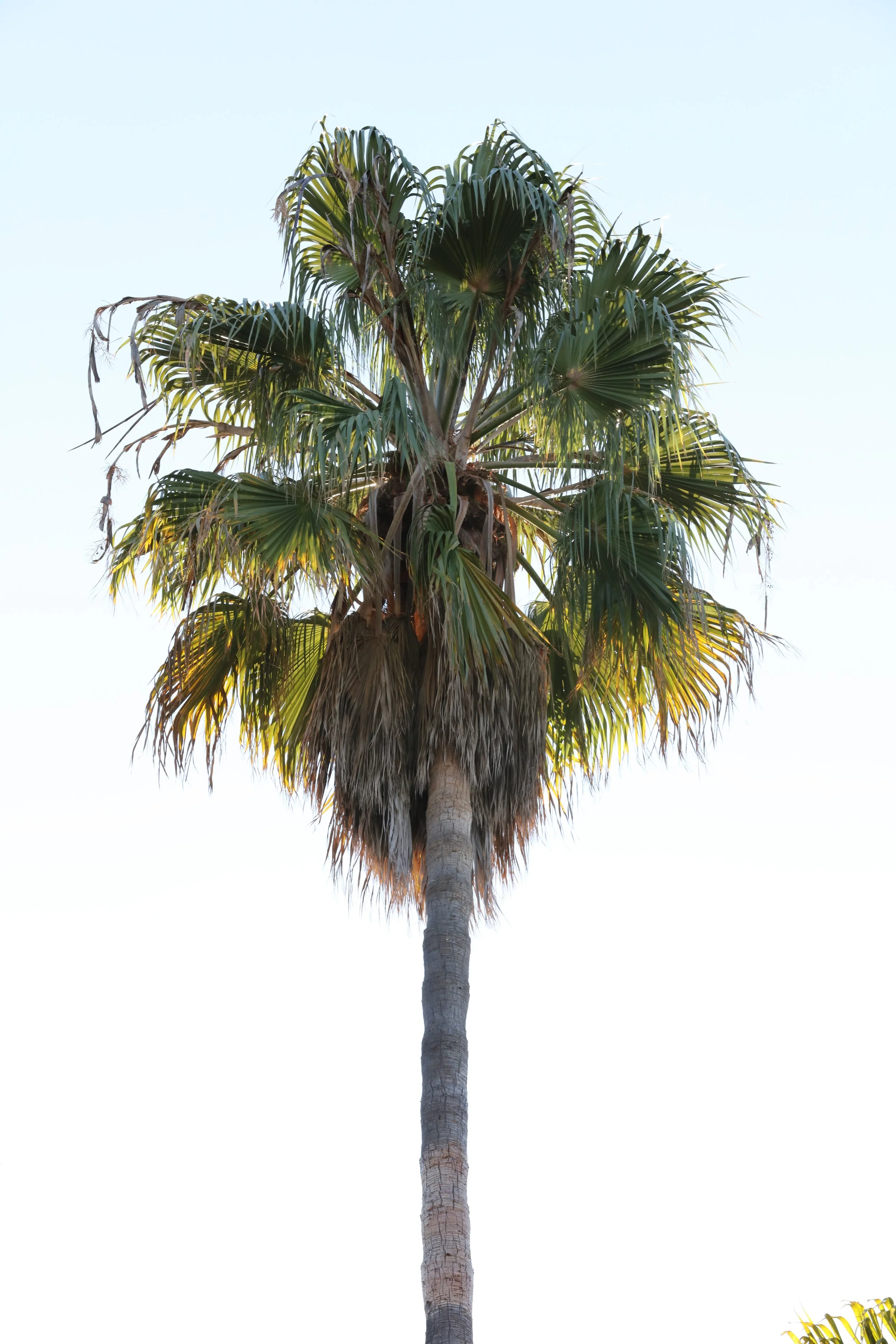 010618_SyncLyte_005.JPG