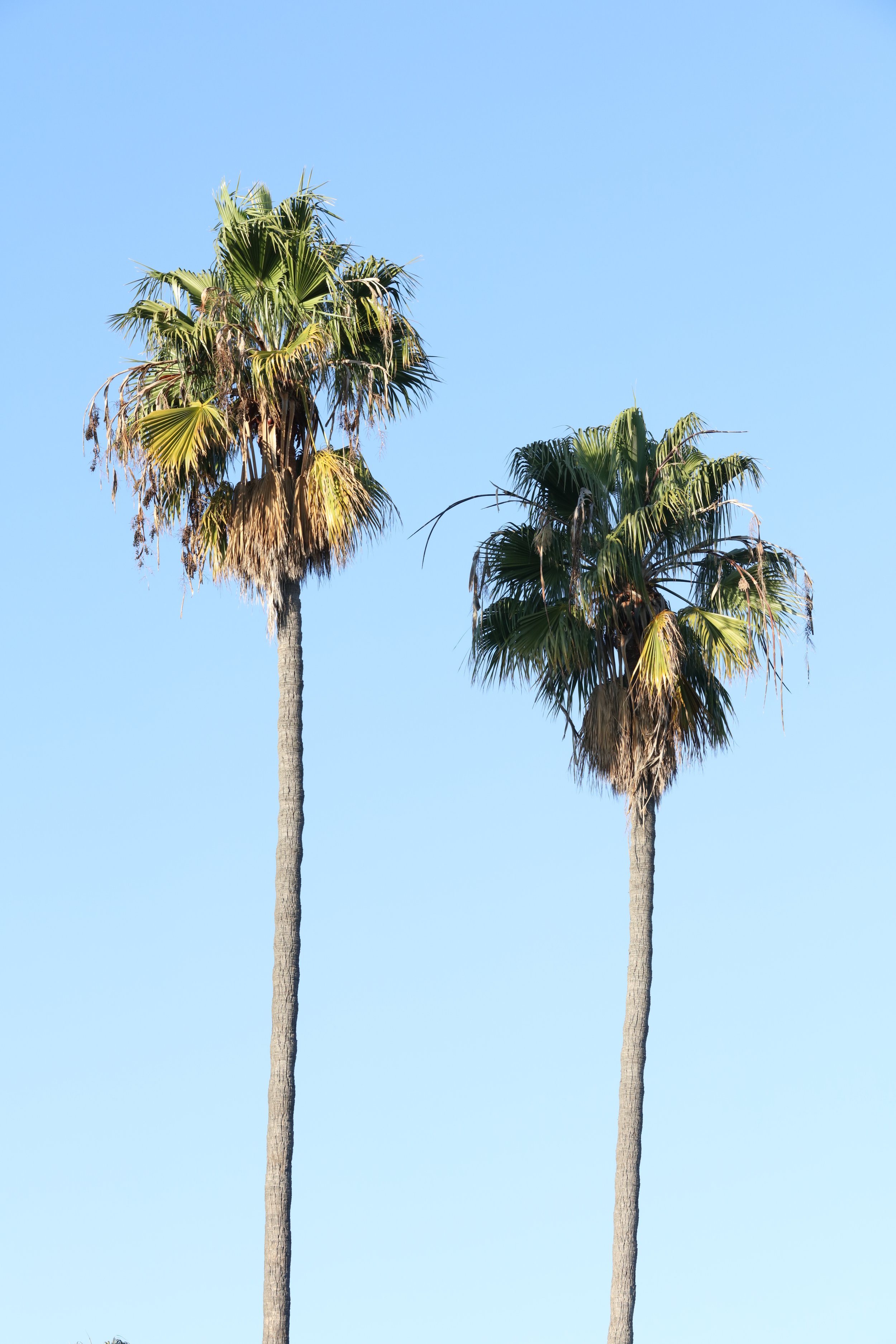 010618_SyncLyte_008.JPG