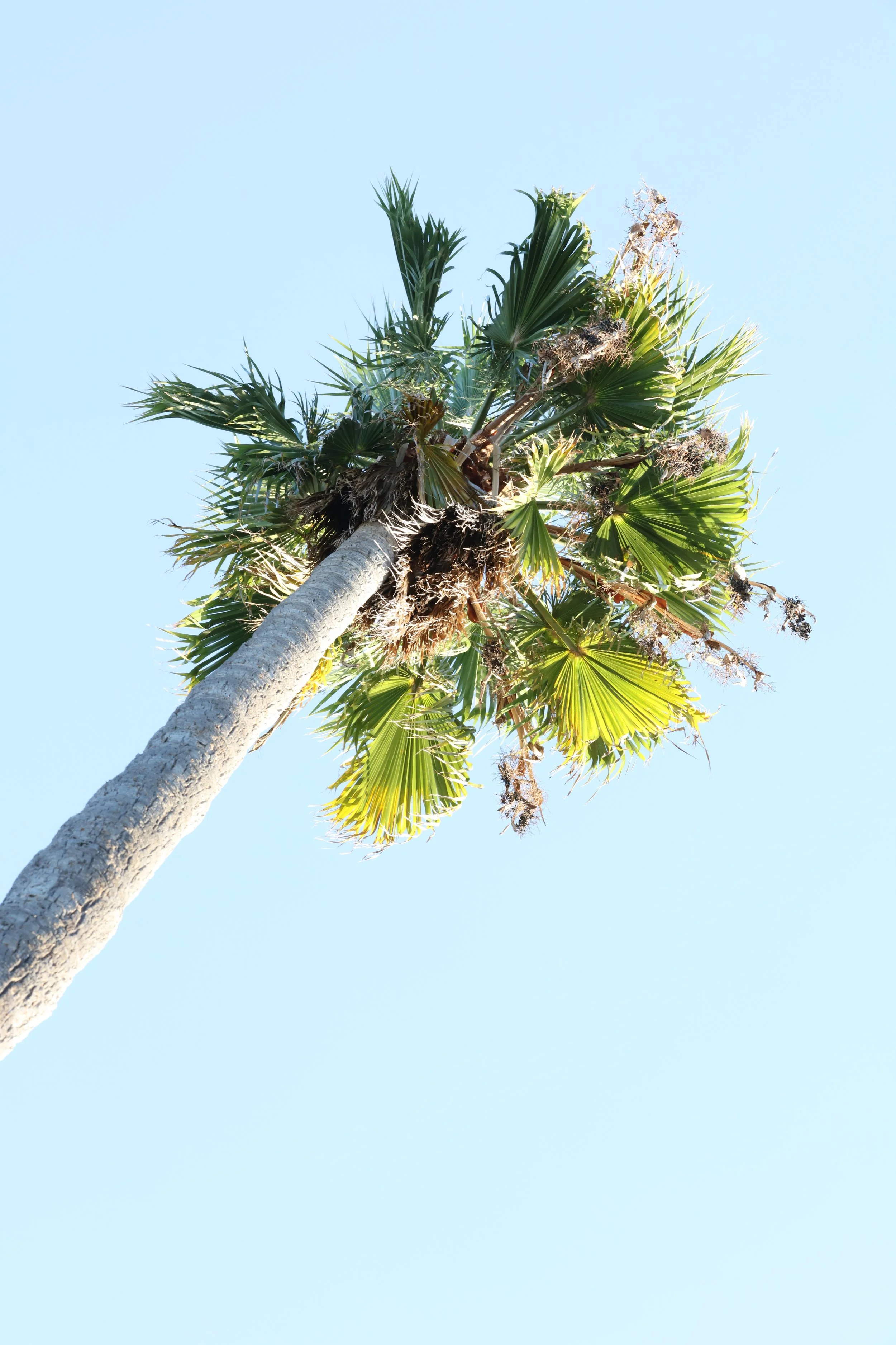 010618_SyncLyte_011.JPG