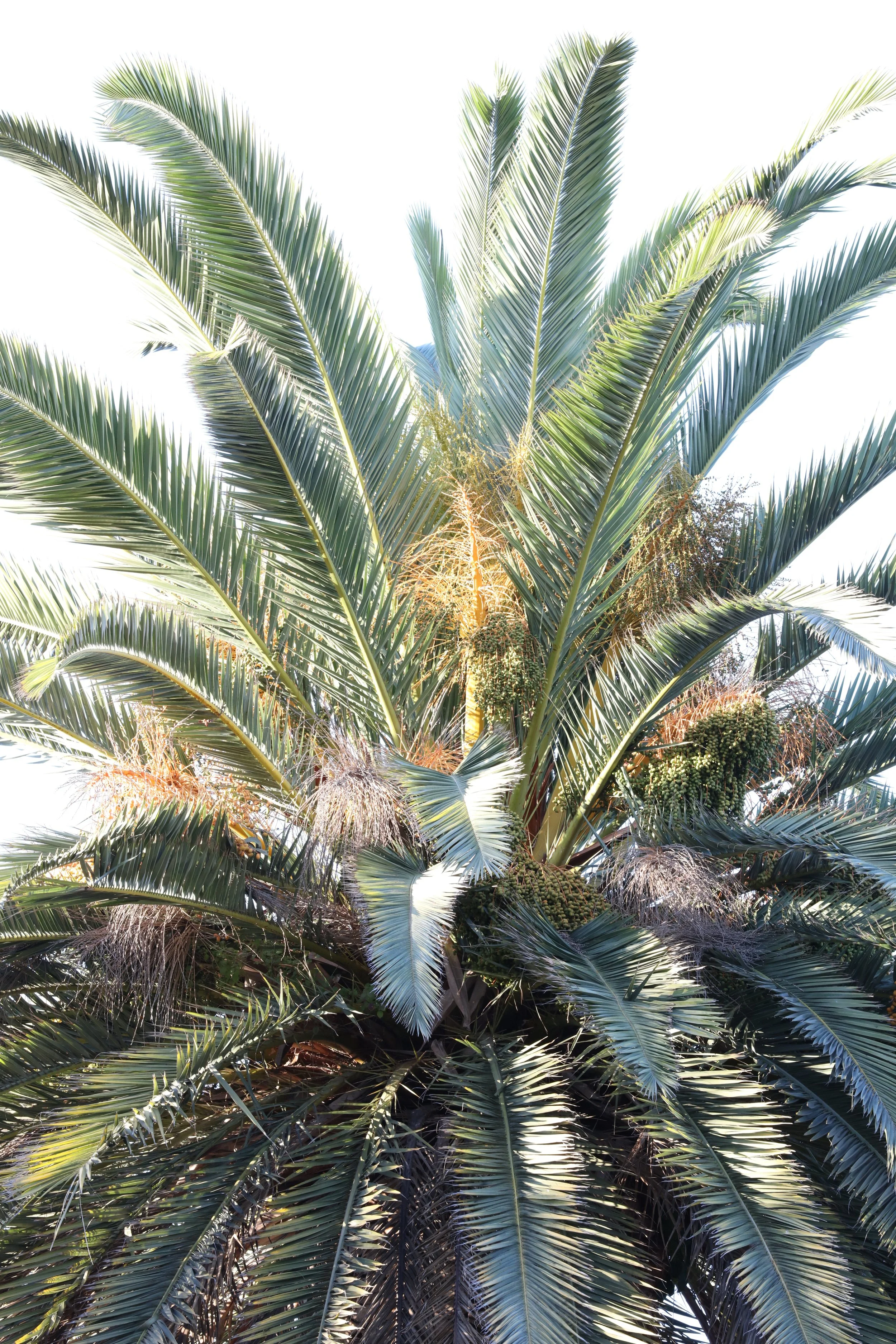 010618_SyncLyte_009.JPG