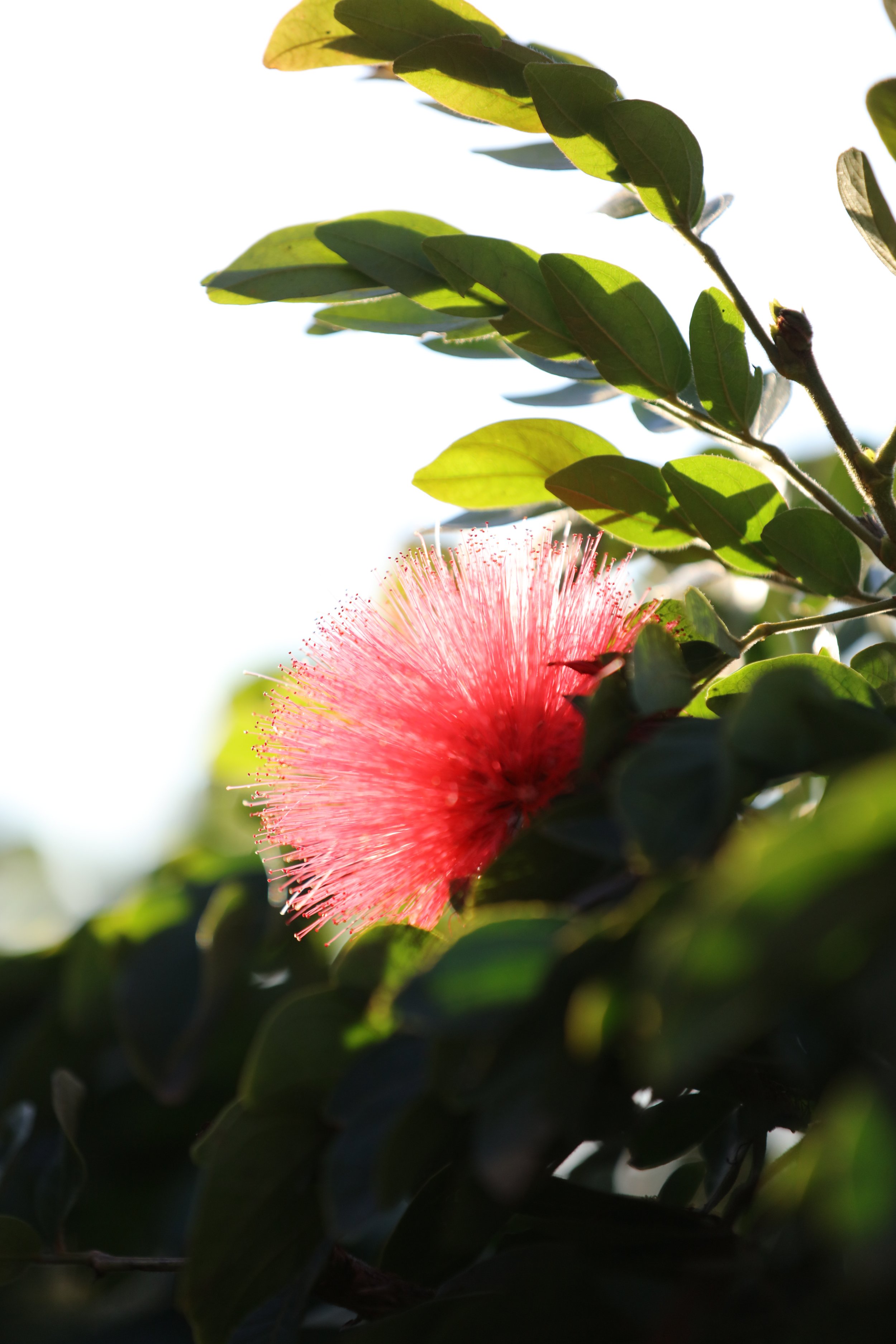 010618_SyncLyte_016.JPG