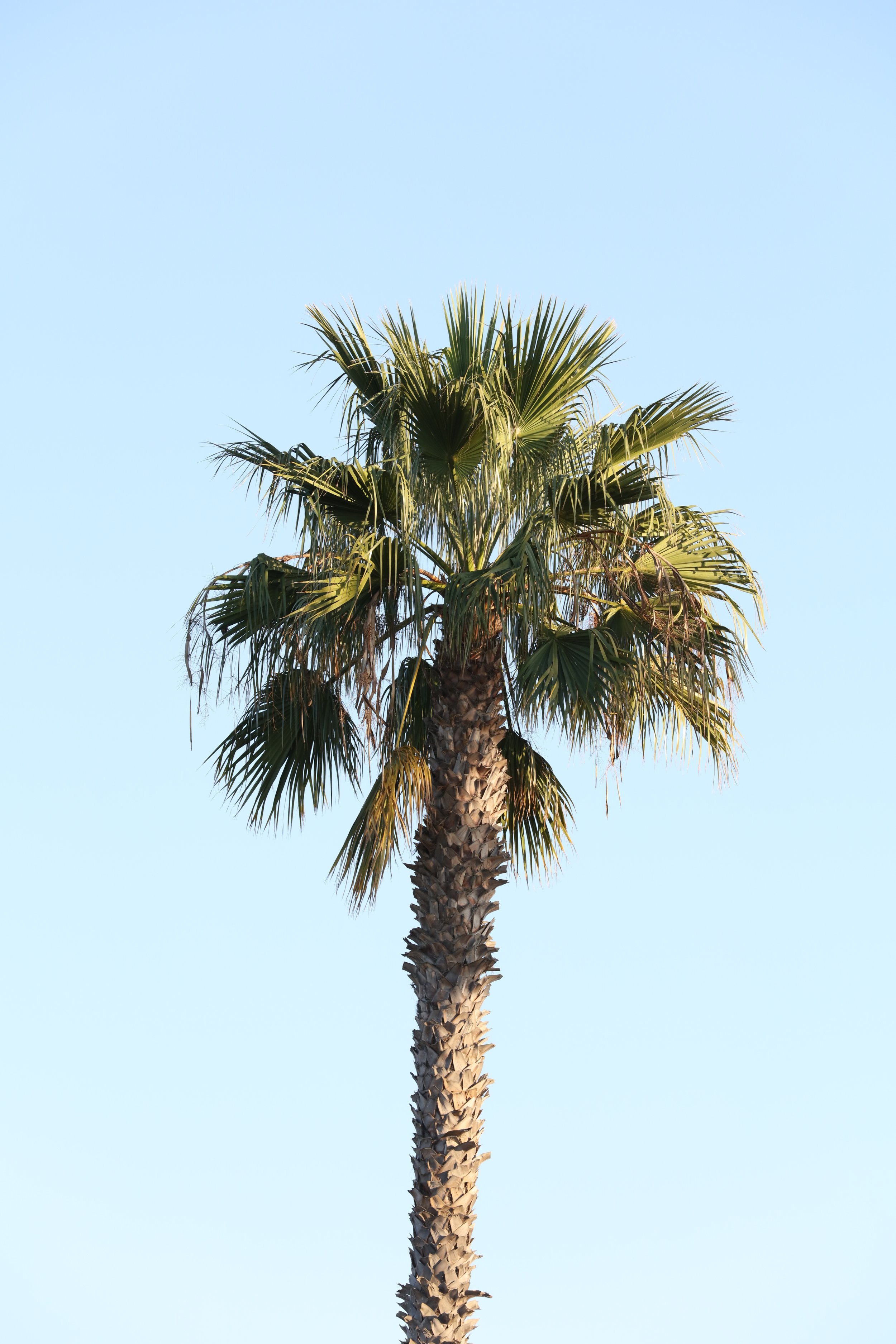 010618_SyncLyte_021.JPG