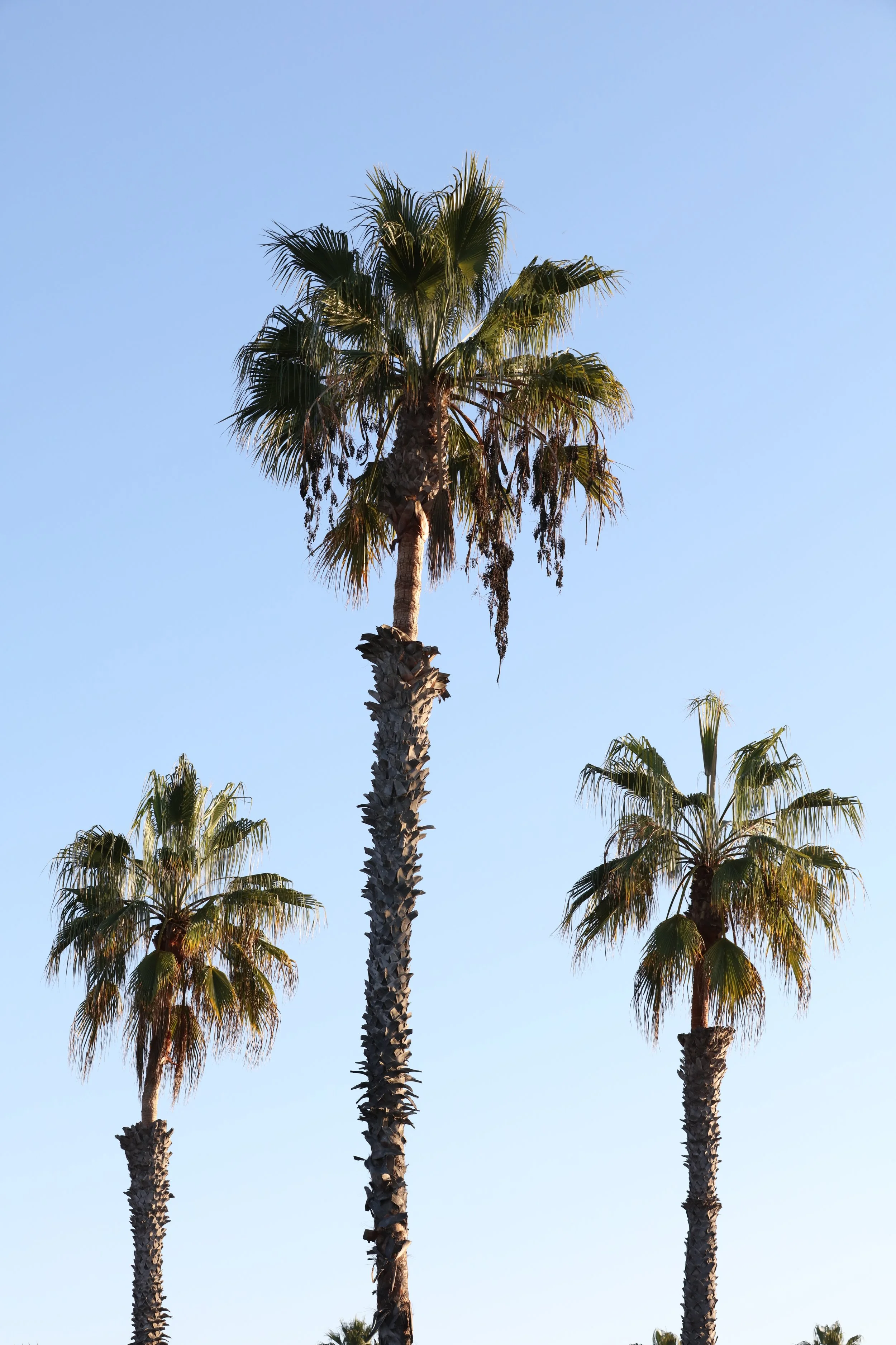 010618_SyncLyte_020.JPG