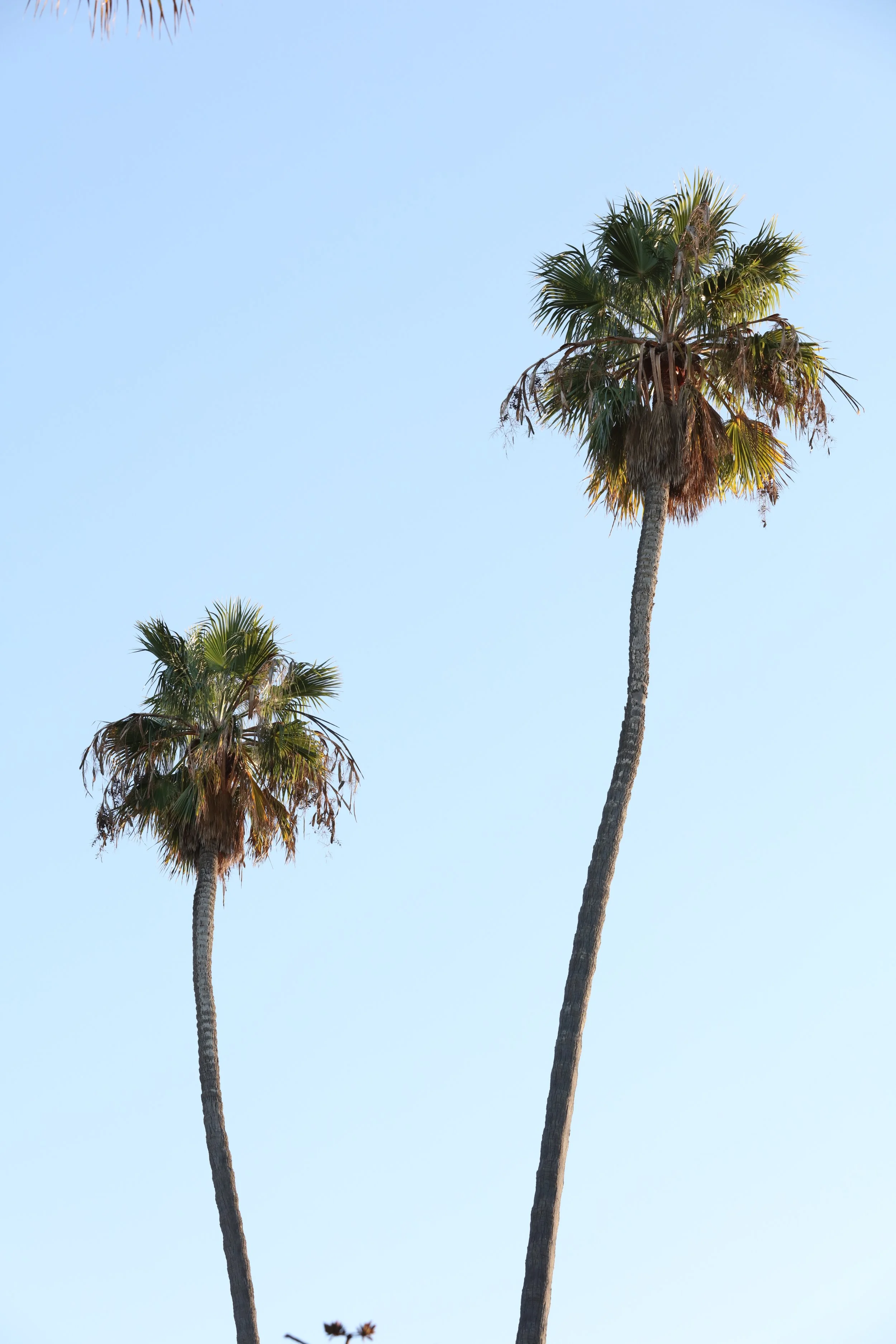 010618_SyncLyte_029.JPG