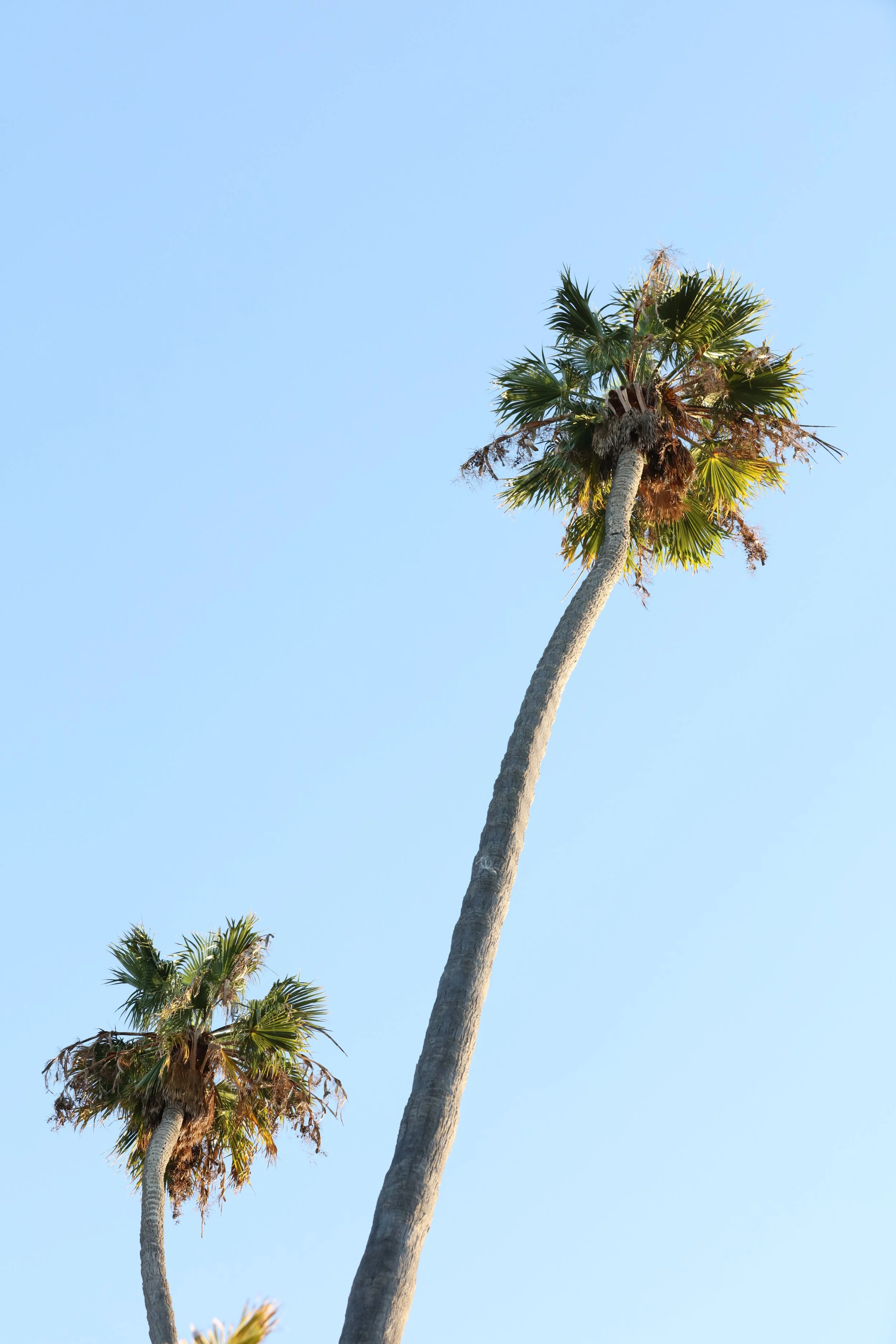 010618_SyncLyte_030.JPG