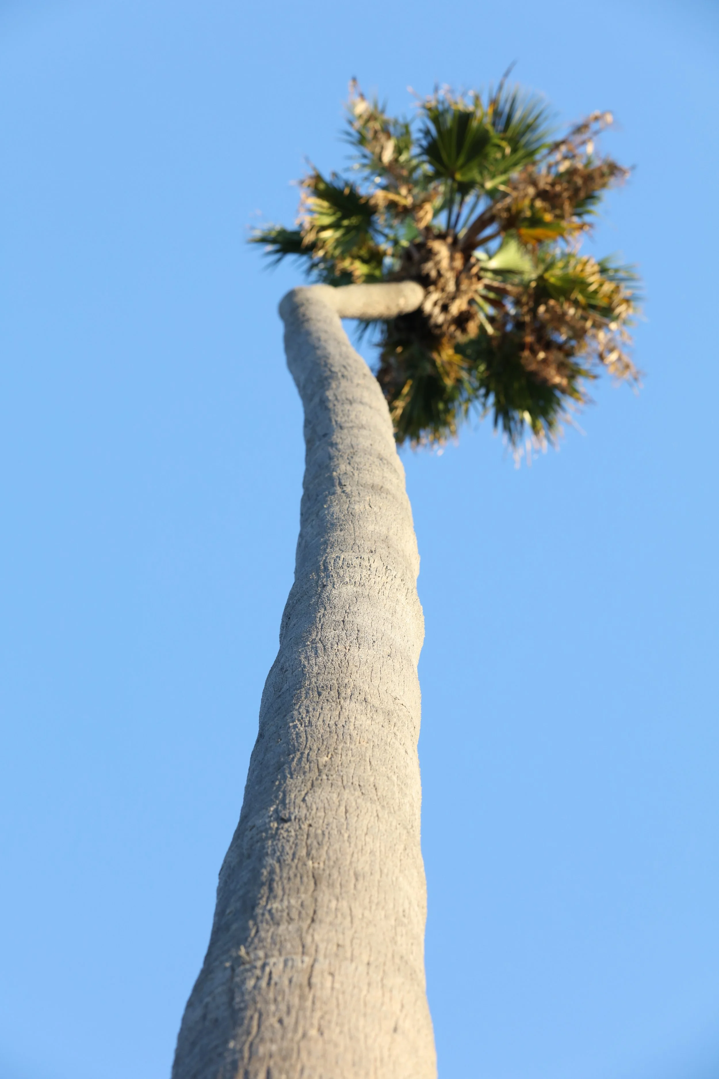 010618_SyncLyte_034.JPG