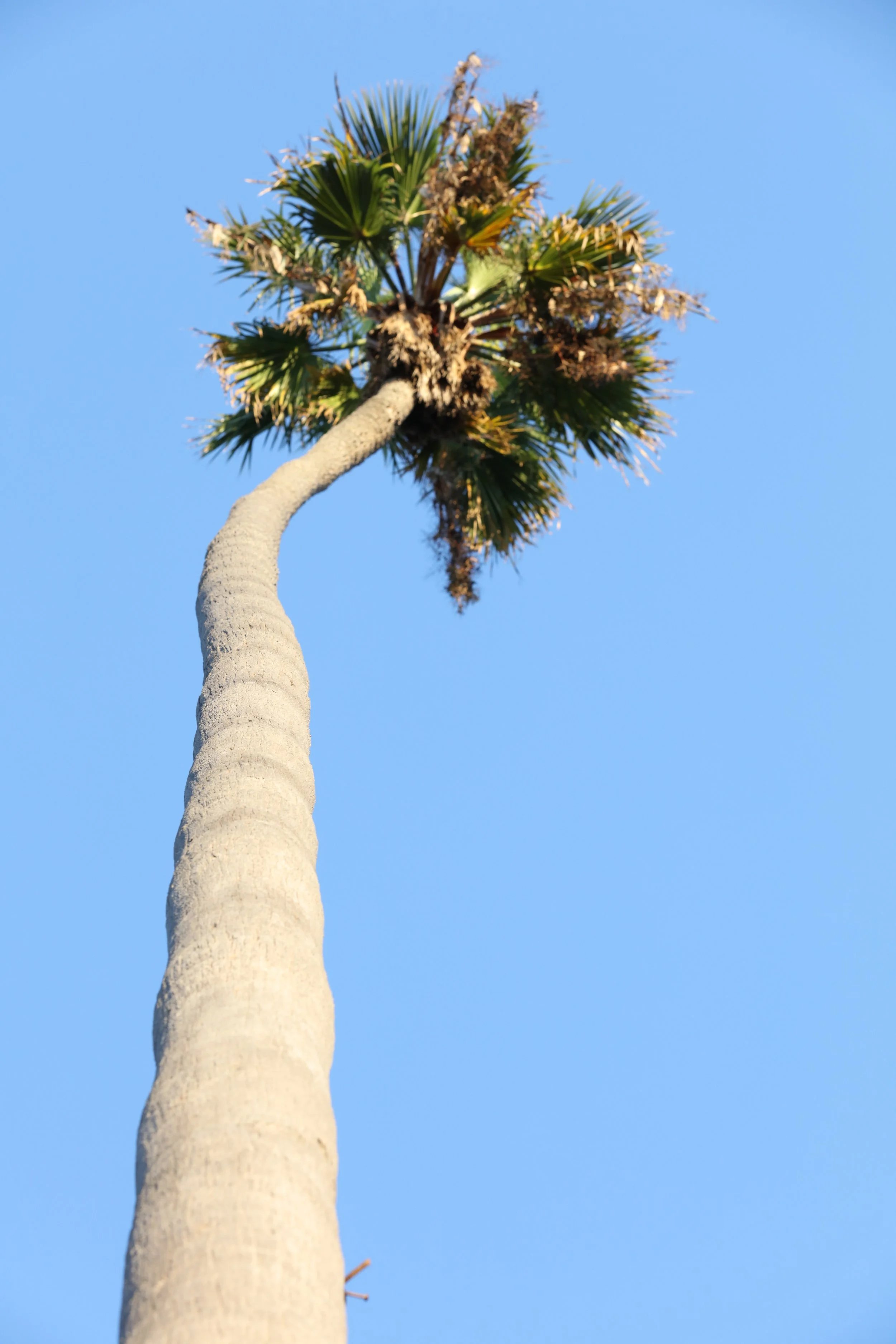 010618_SyncLyte_035.JPG