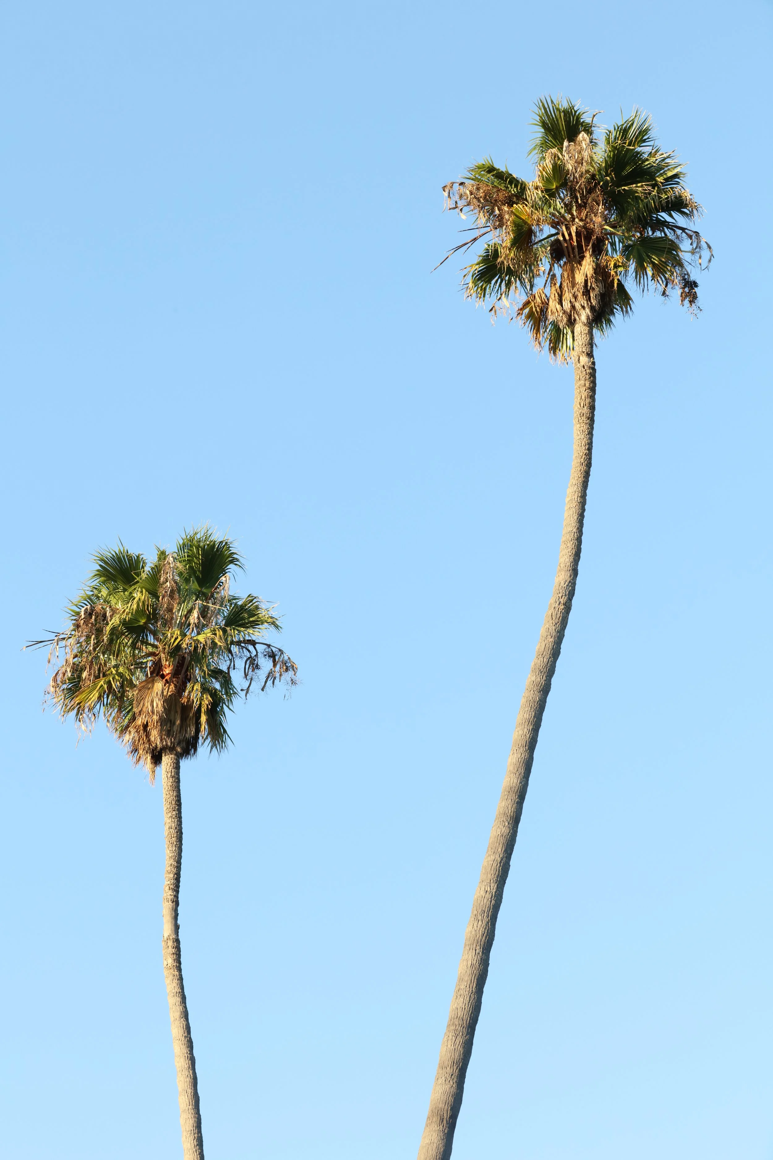 010618_SyncLyte_037.JPG