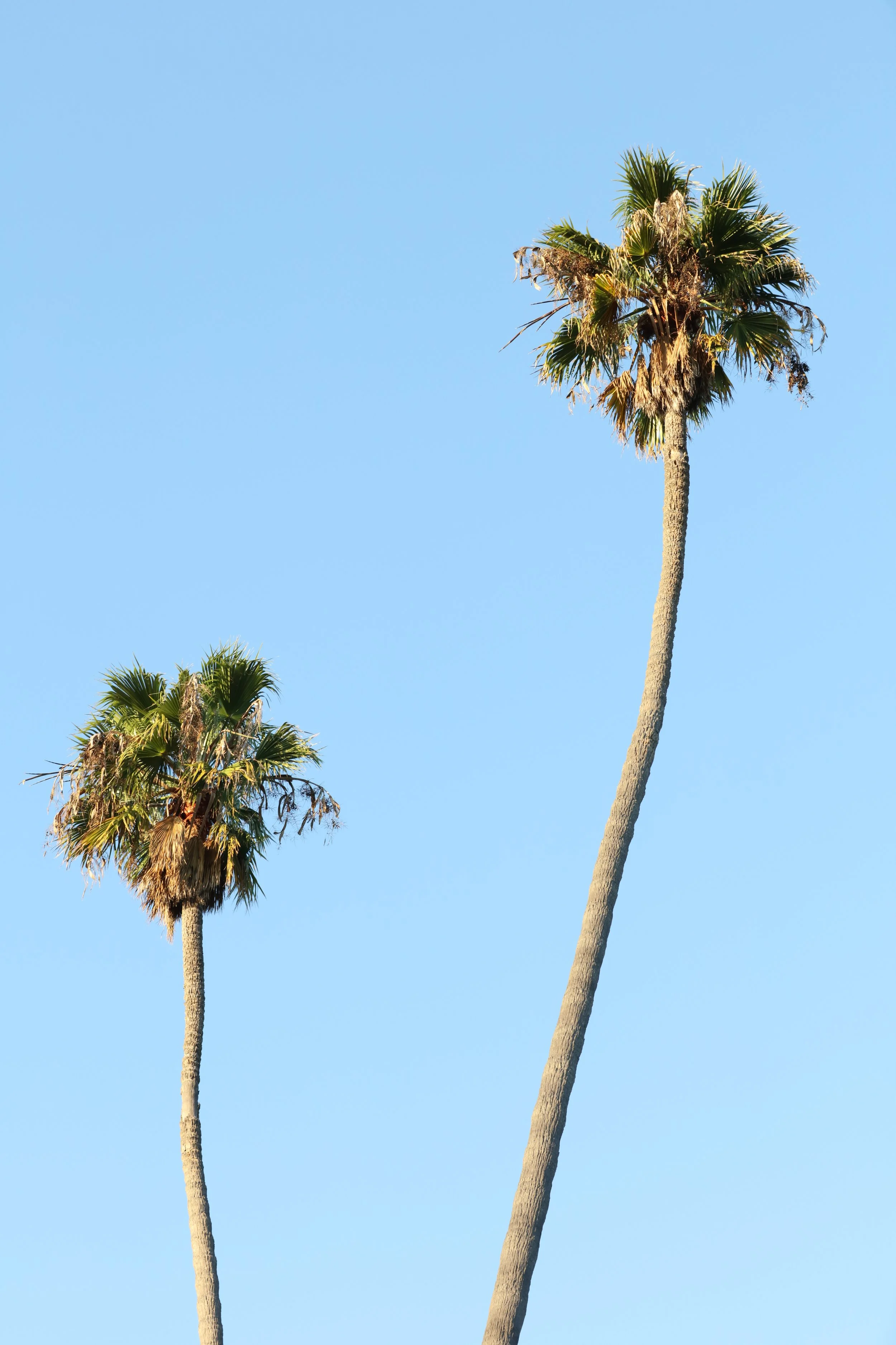 010618_SyncLyte_038.JPG