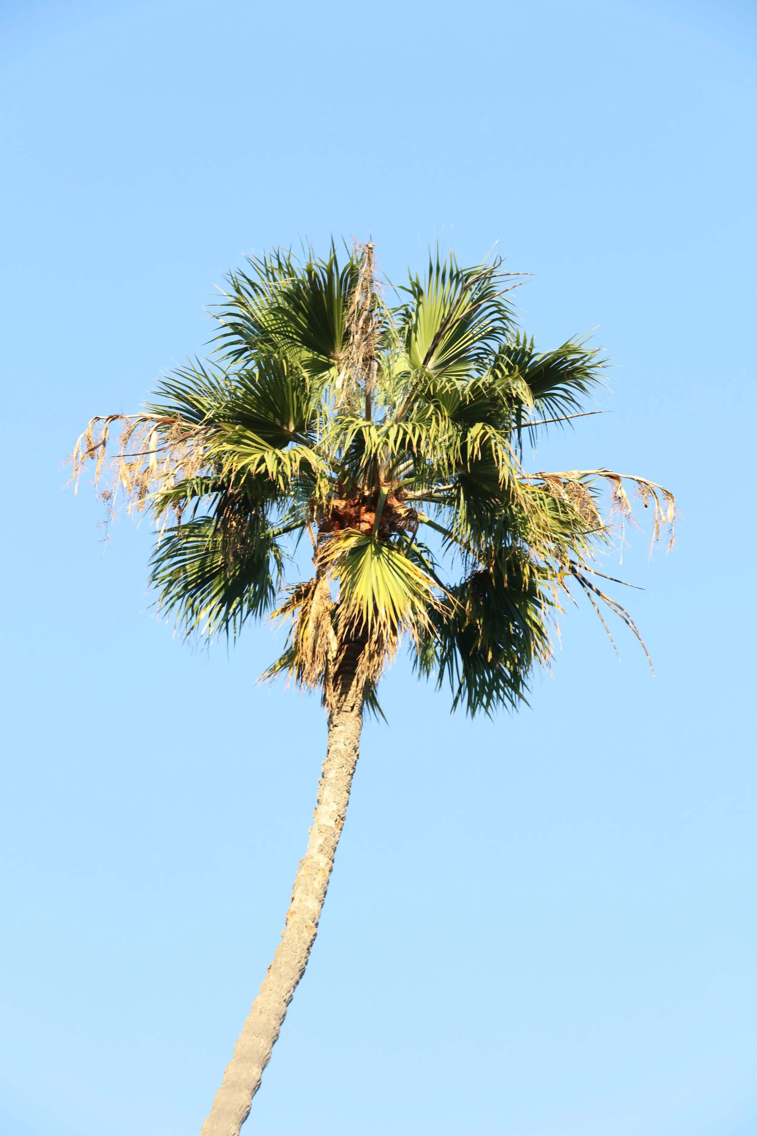 010618_SyncLyte_039.JPG