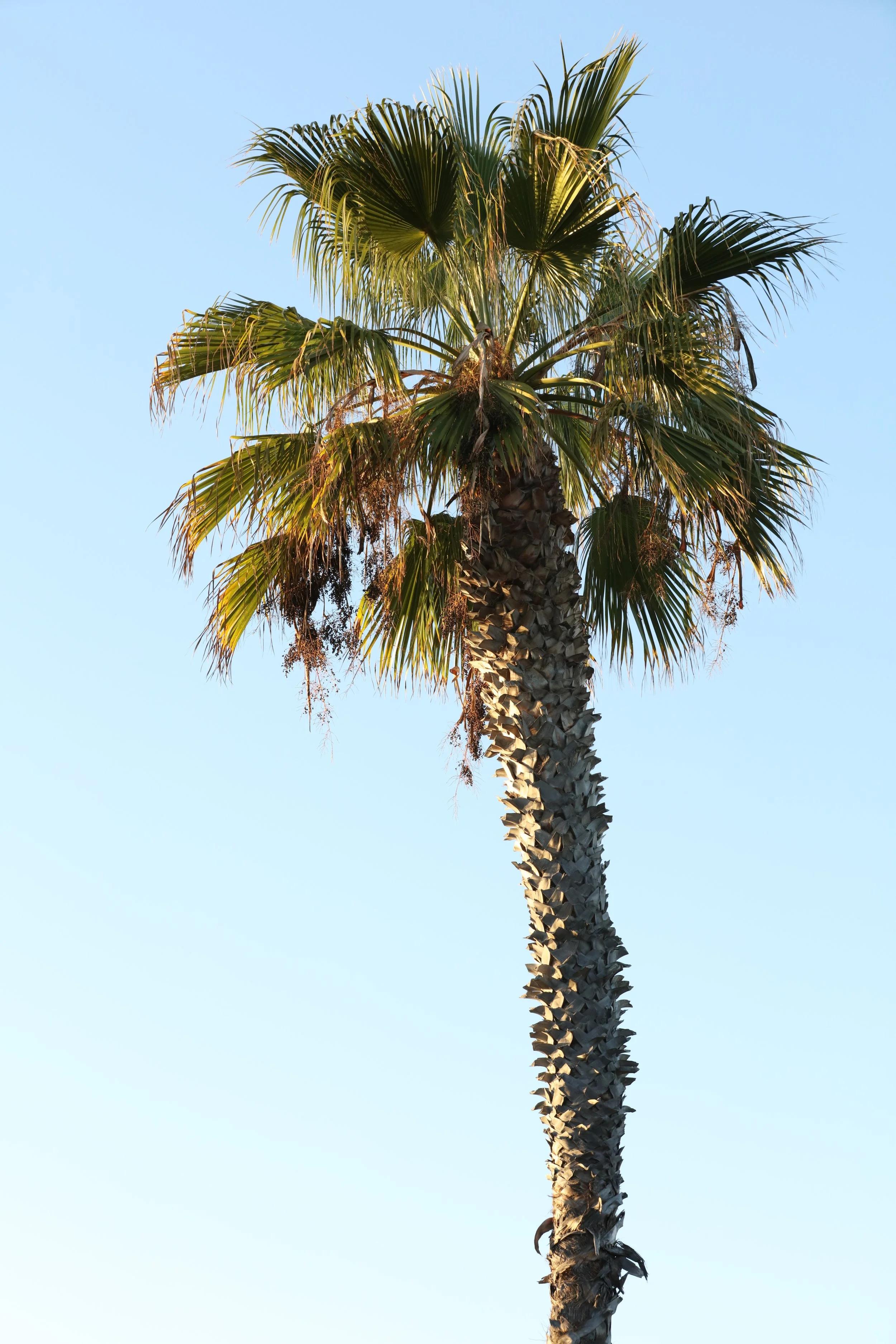 010618_SyncLyte_040.JPG