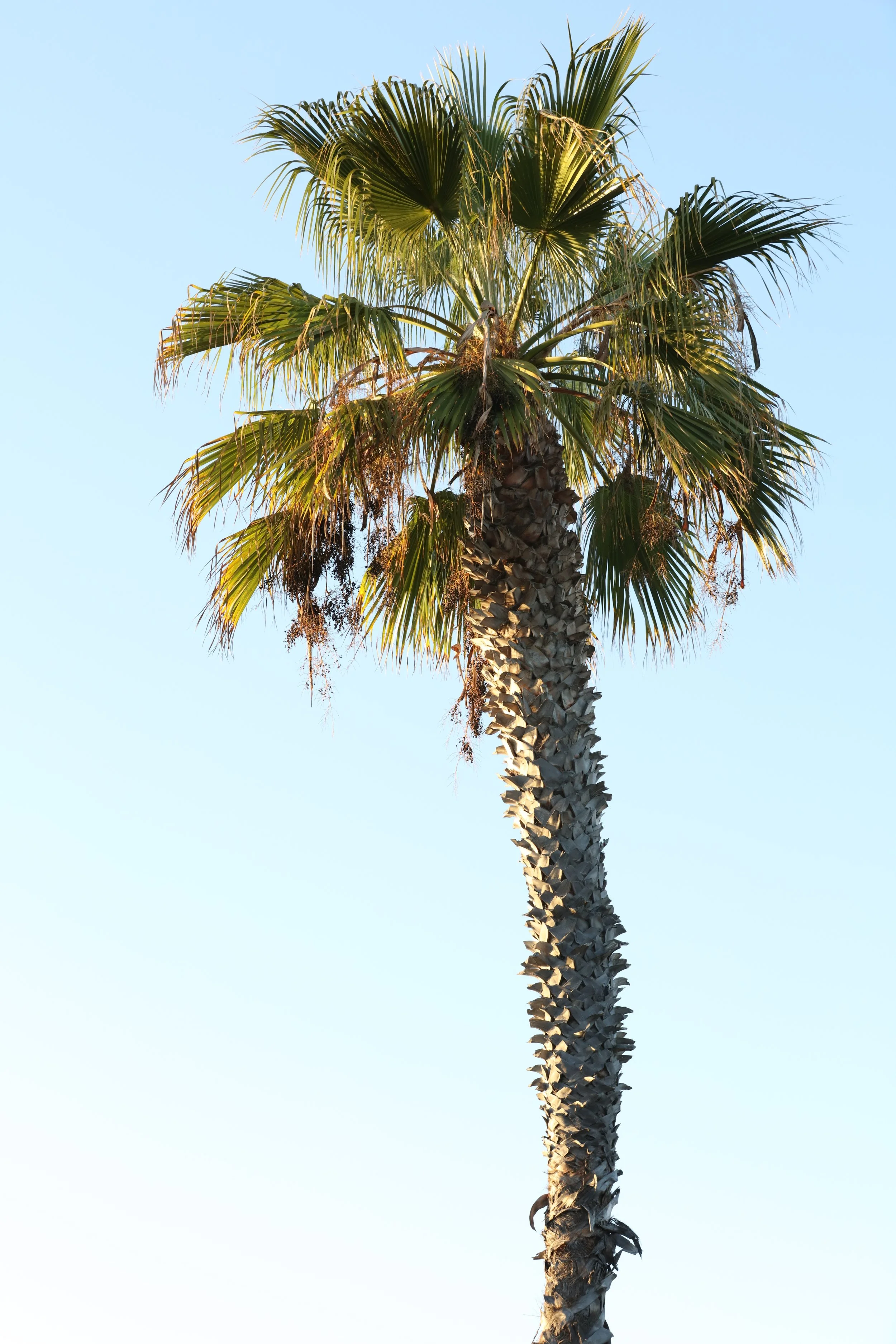 010618_SyncLyte_041.JPG